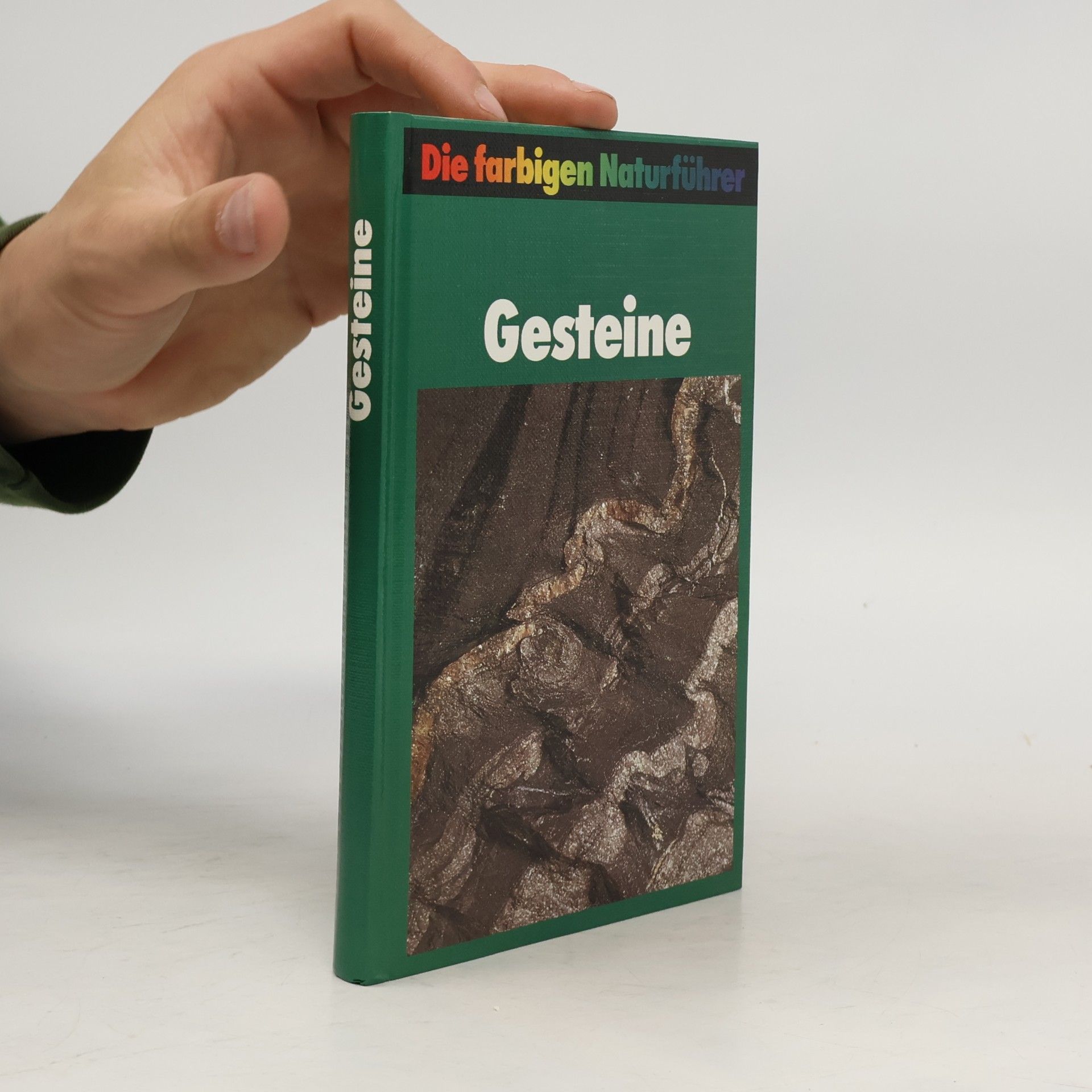 Kolektiv autorů Gesteine