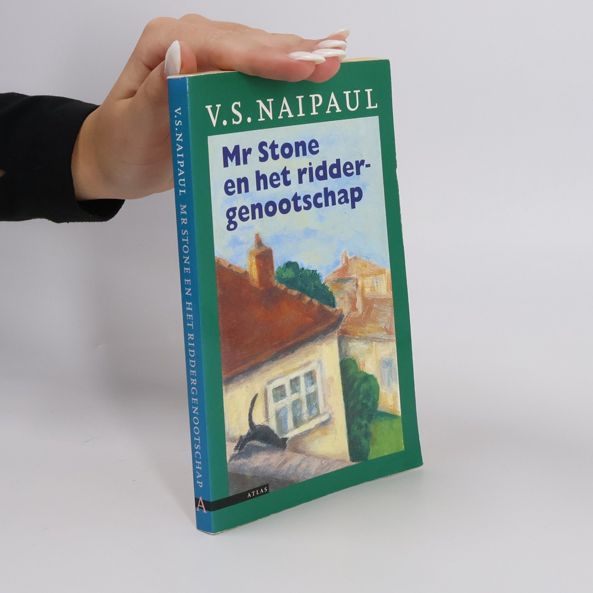 Harry Pallemans Mr Stone en het riddergenootschap