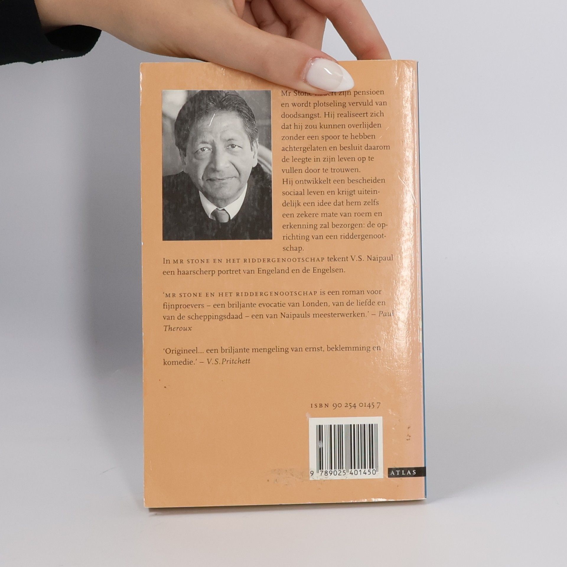 V. S. Naipaul Mr Stone en het riddergenootschap