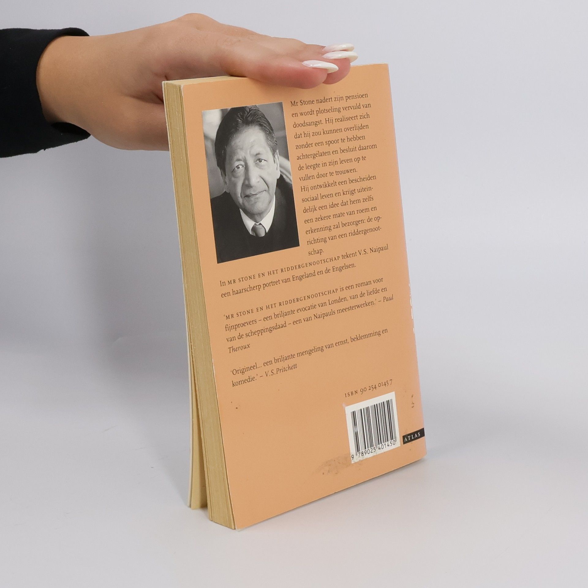 V. S. Naipaul Mr Stone en het riddergenootschap