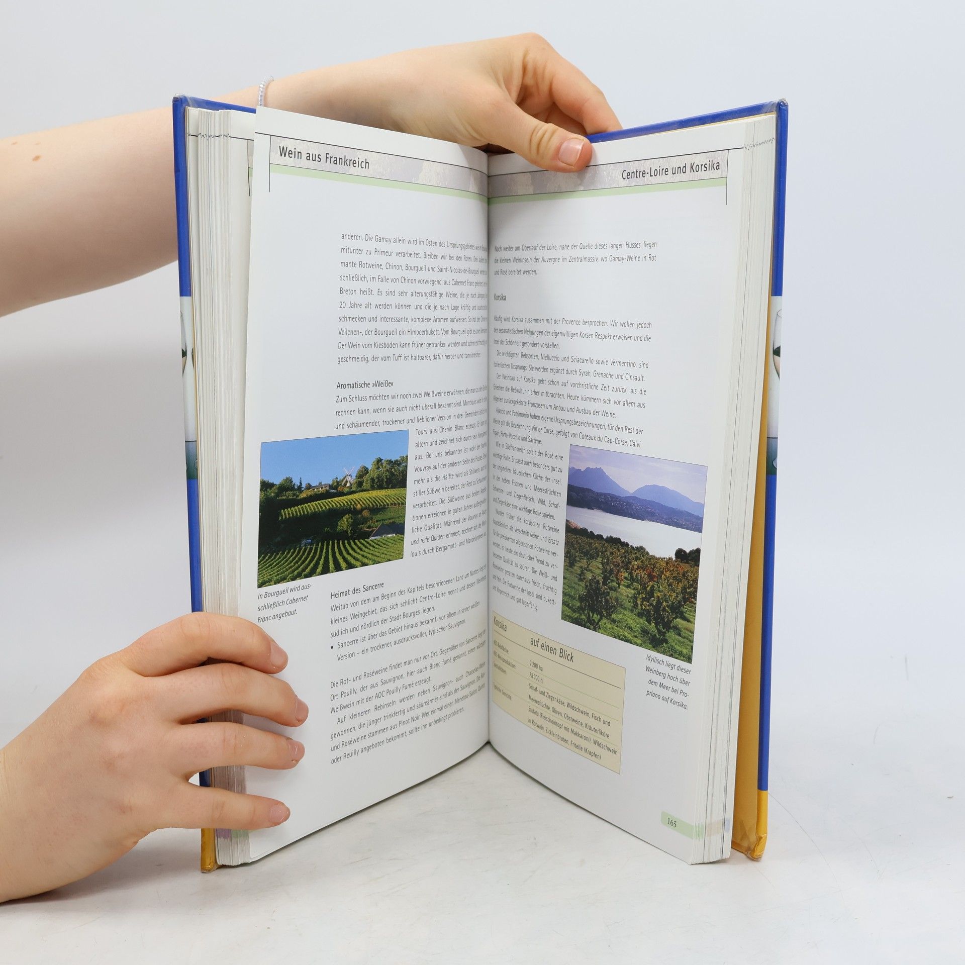 Das große Wein-Buch