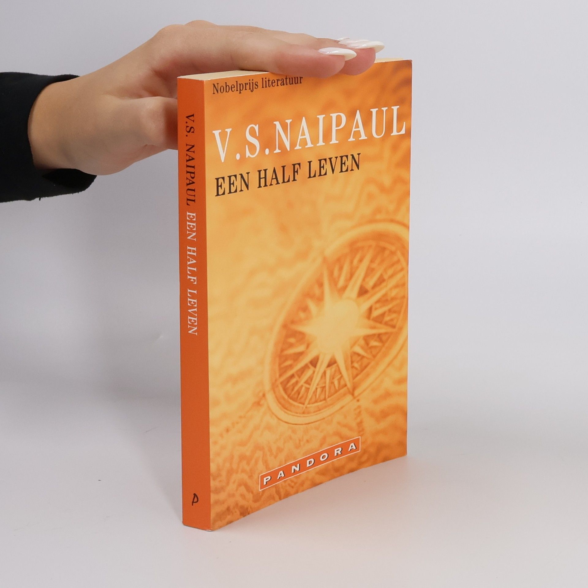 V. S. Naipaul Een half leven