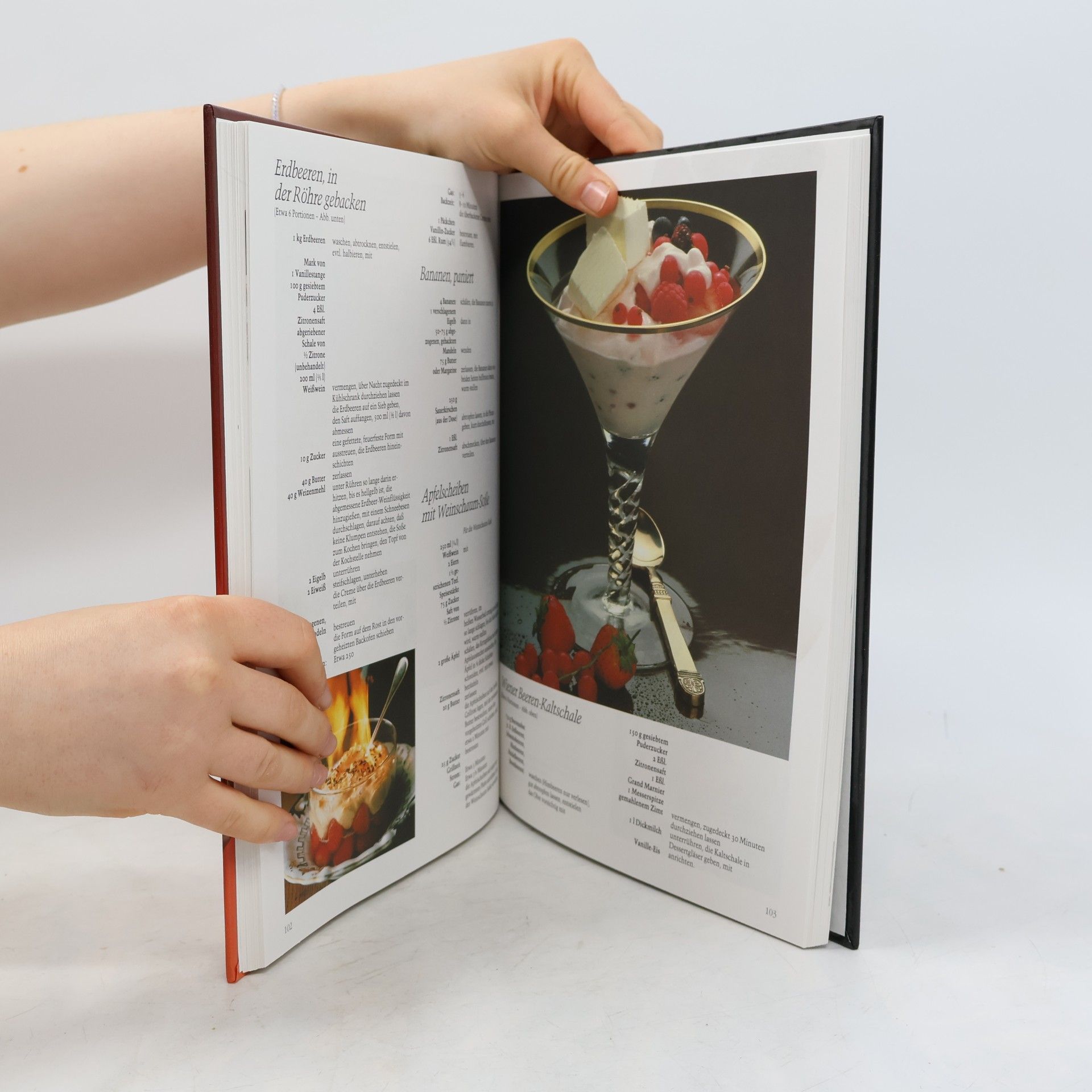 kolektiv Dr. Oetker. Küchen-Bibliothek