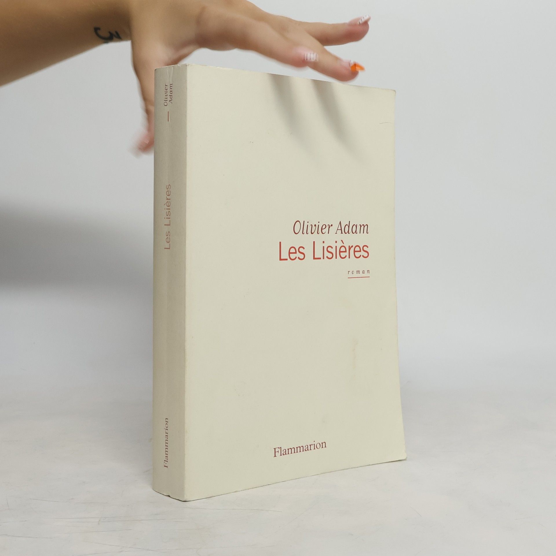 Olivier Adam Les lisières