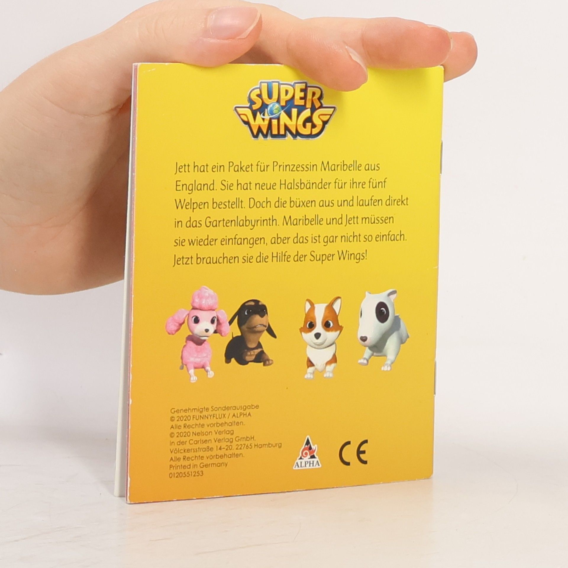 Various authors Super Wings. Ein Paket für Luca