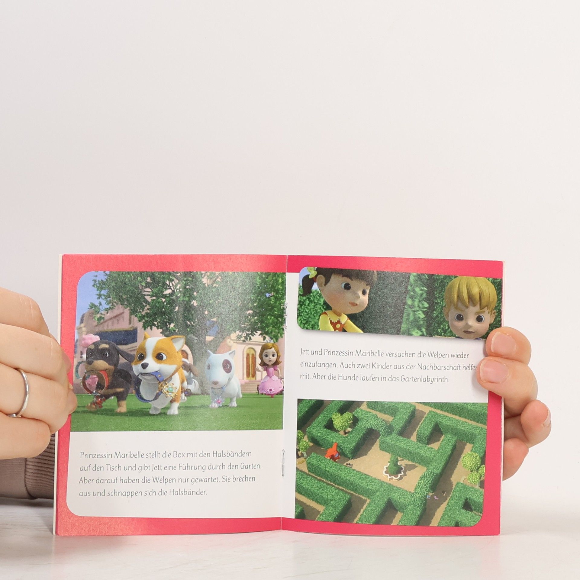 Various authors Super Wings. Ein Paket für Luca