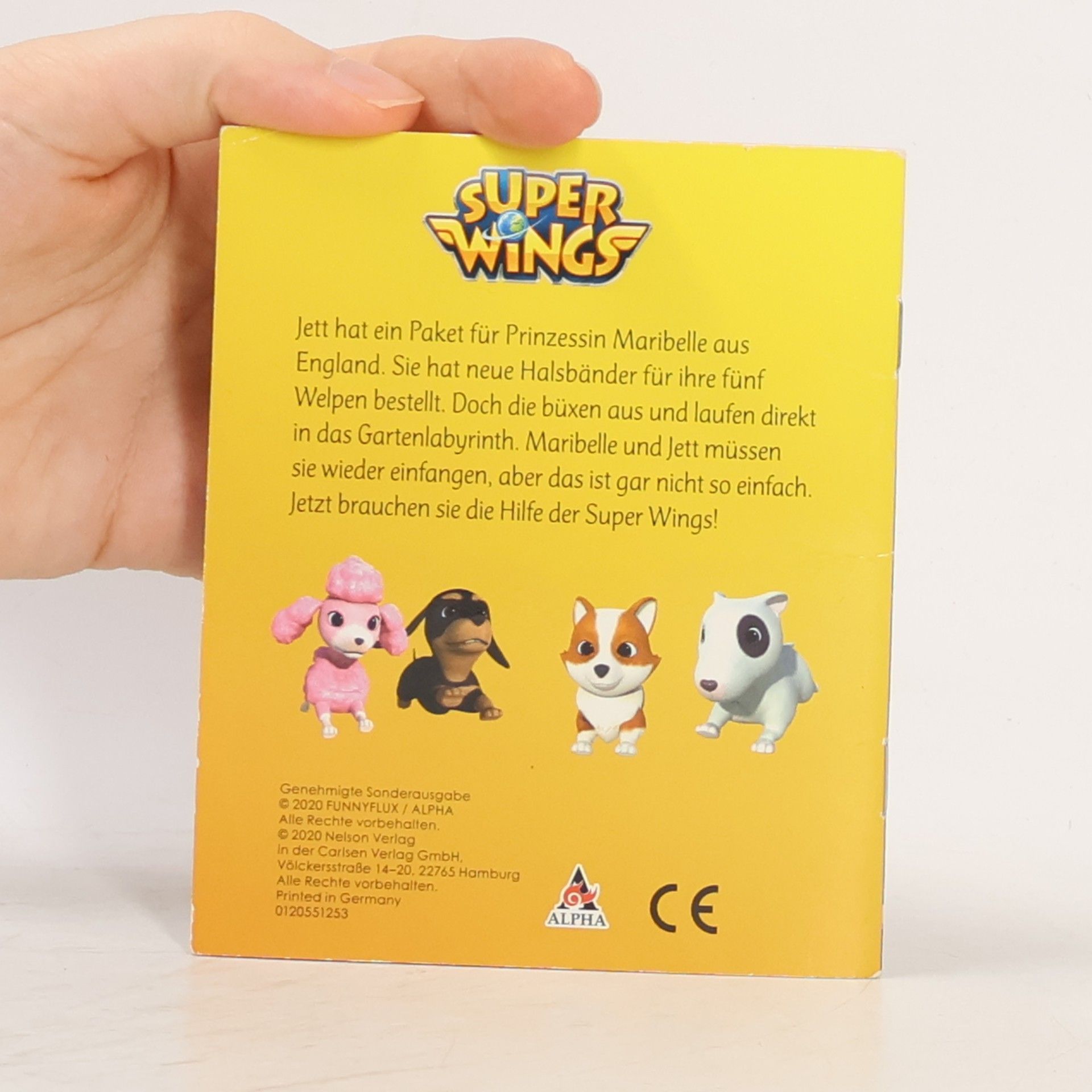 Various authors Super Wings. Ein Paket für Luca