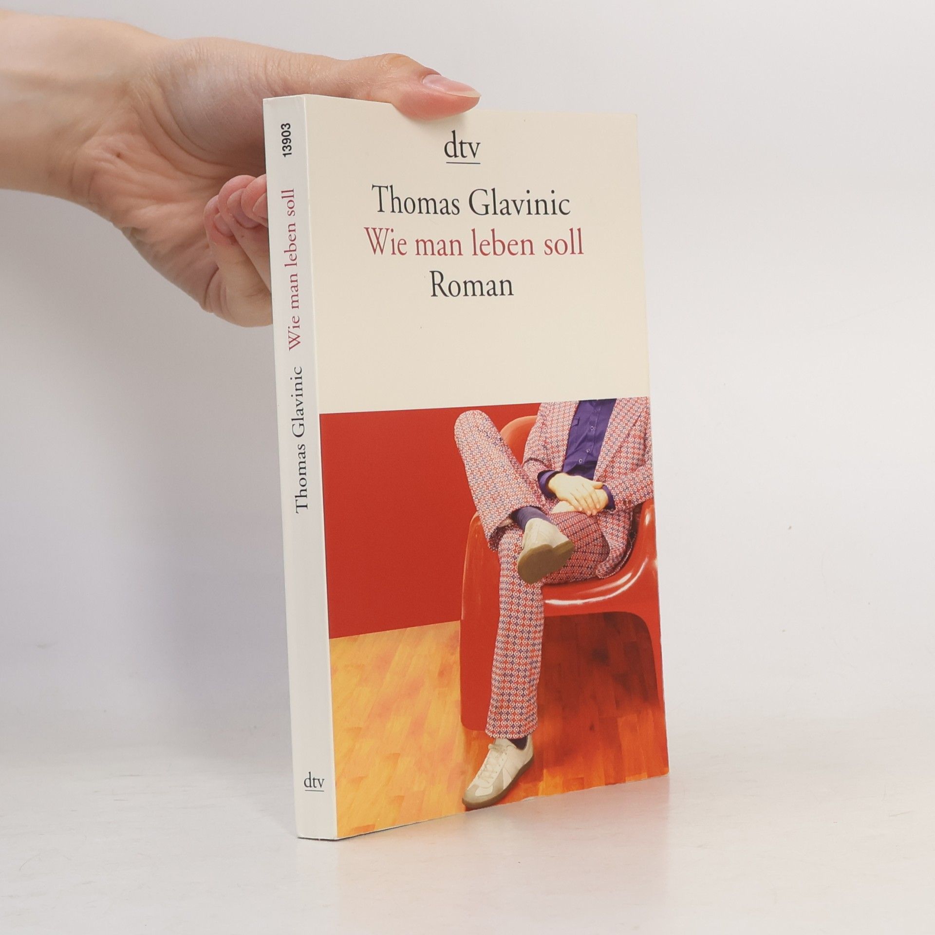 Thomas Glavinic Wie Man leben Soll
