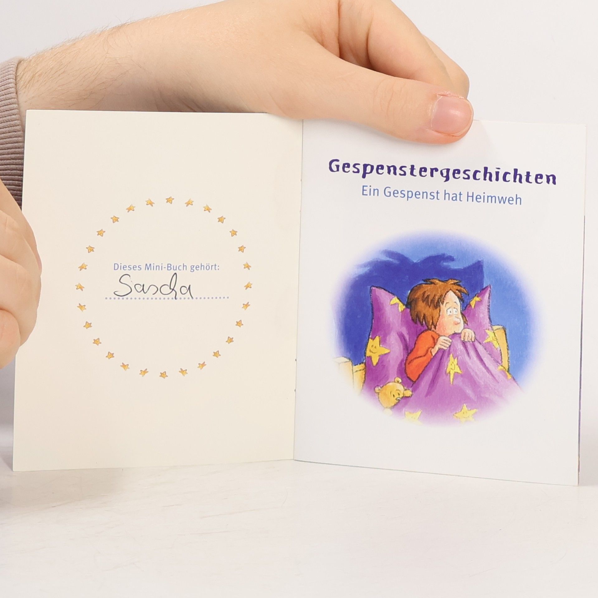 Autorenkollektiv Gespenstergeschichten: Ein Gespenst hat Heimweh