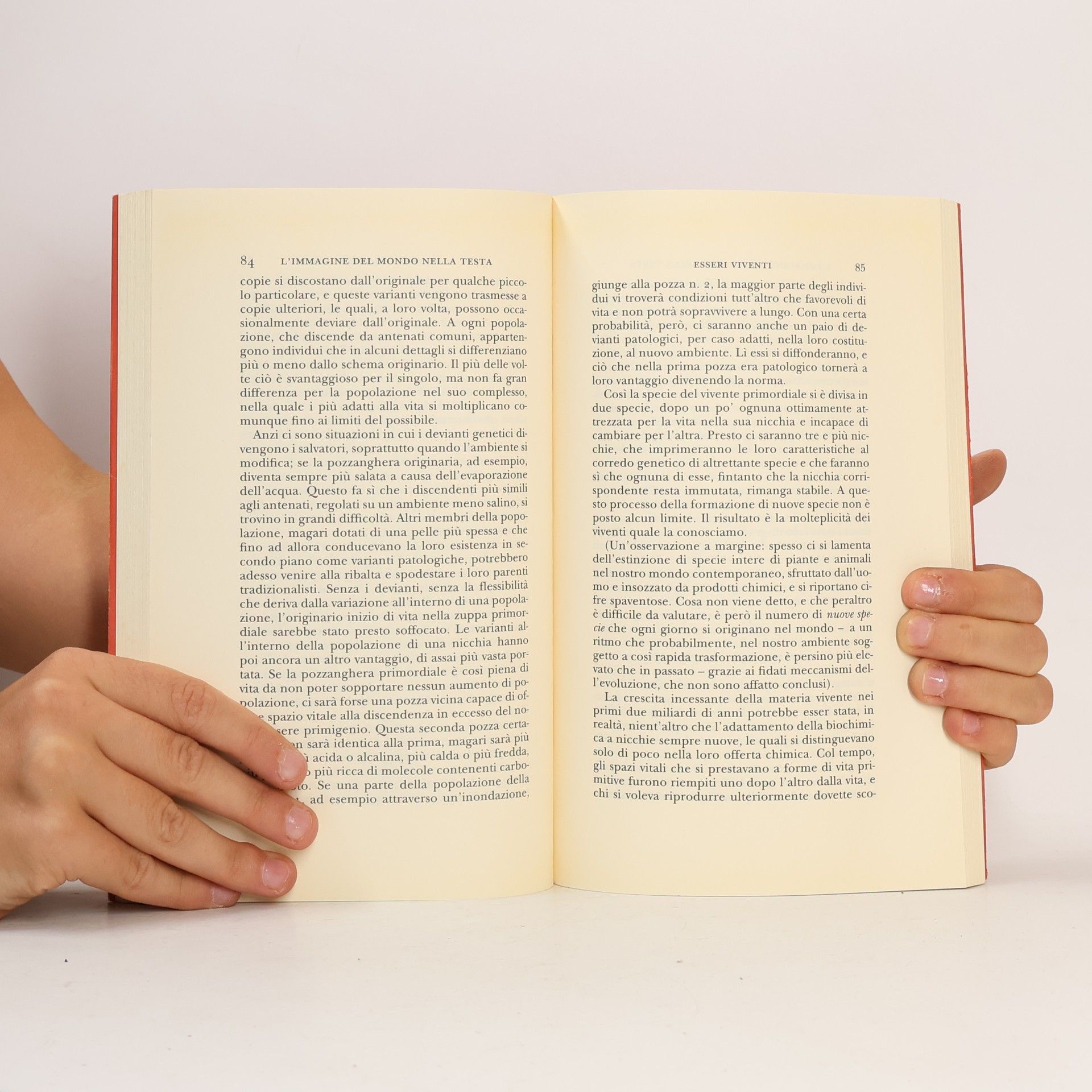Tommaso Codignola Biblioteca Scientifica - 43: L'immagine del mondo nella testa