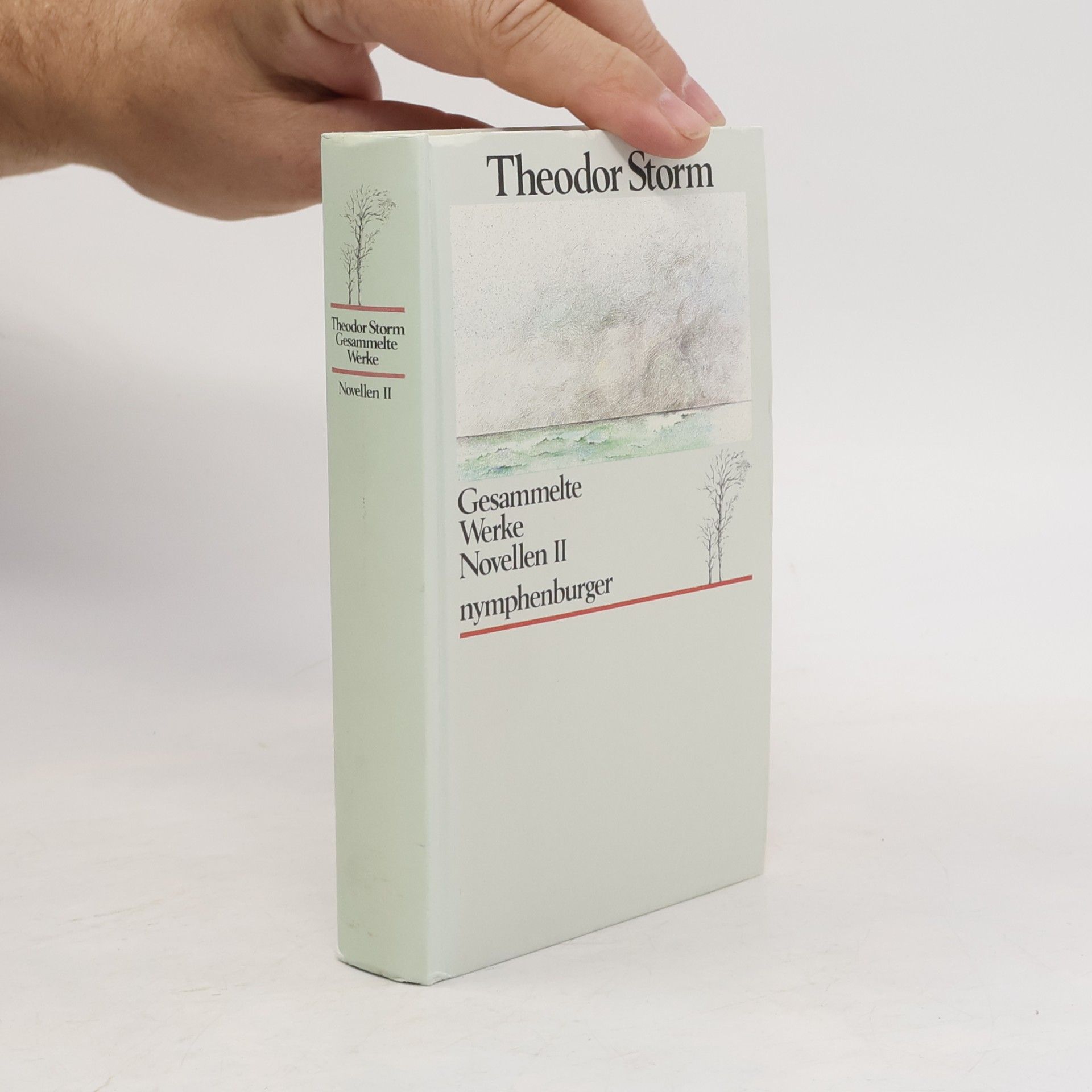 Theodor Storm Gesammelte Werke Novellen II