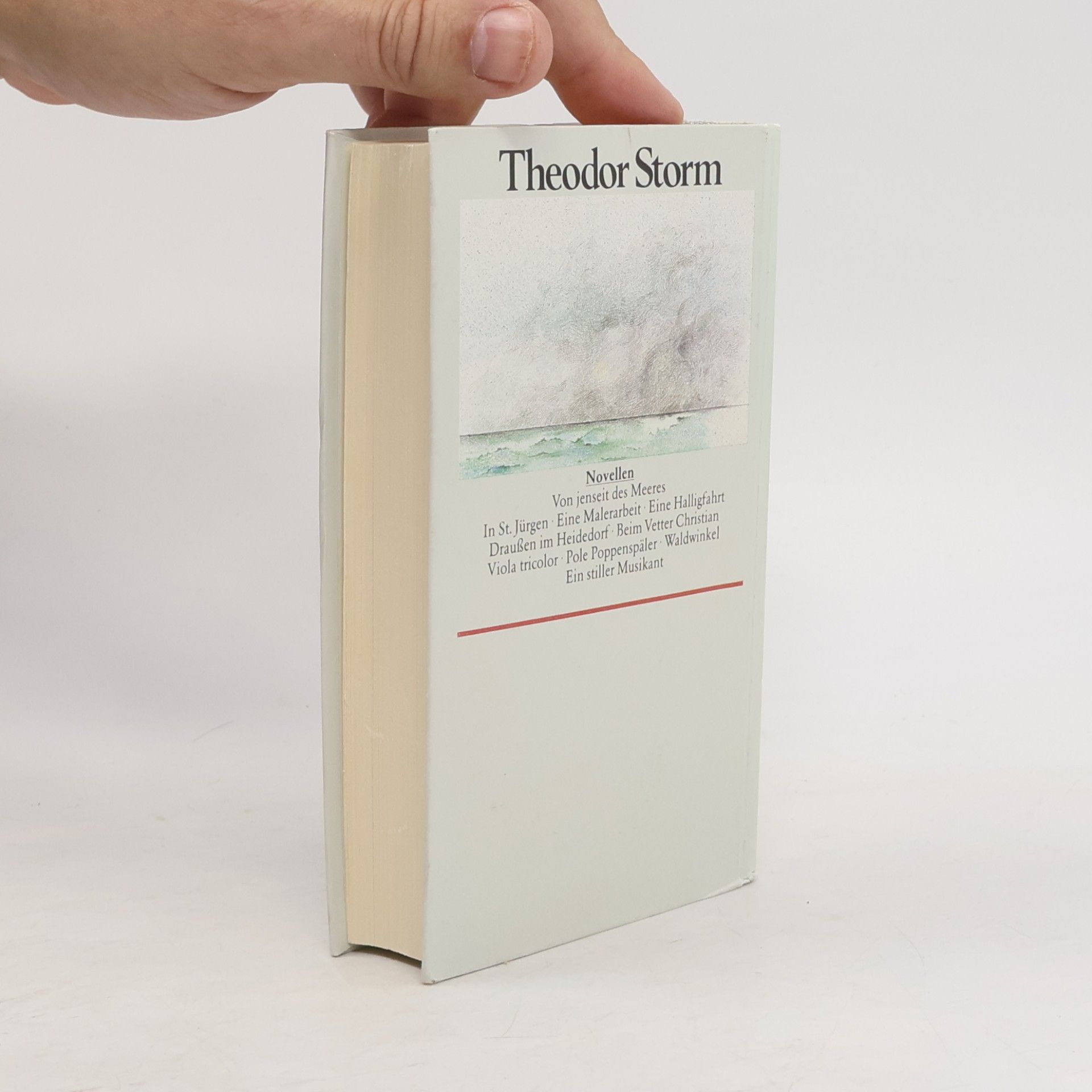 Theodor Storm Gesammelte Werke Novellen II