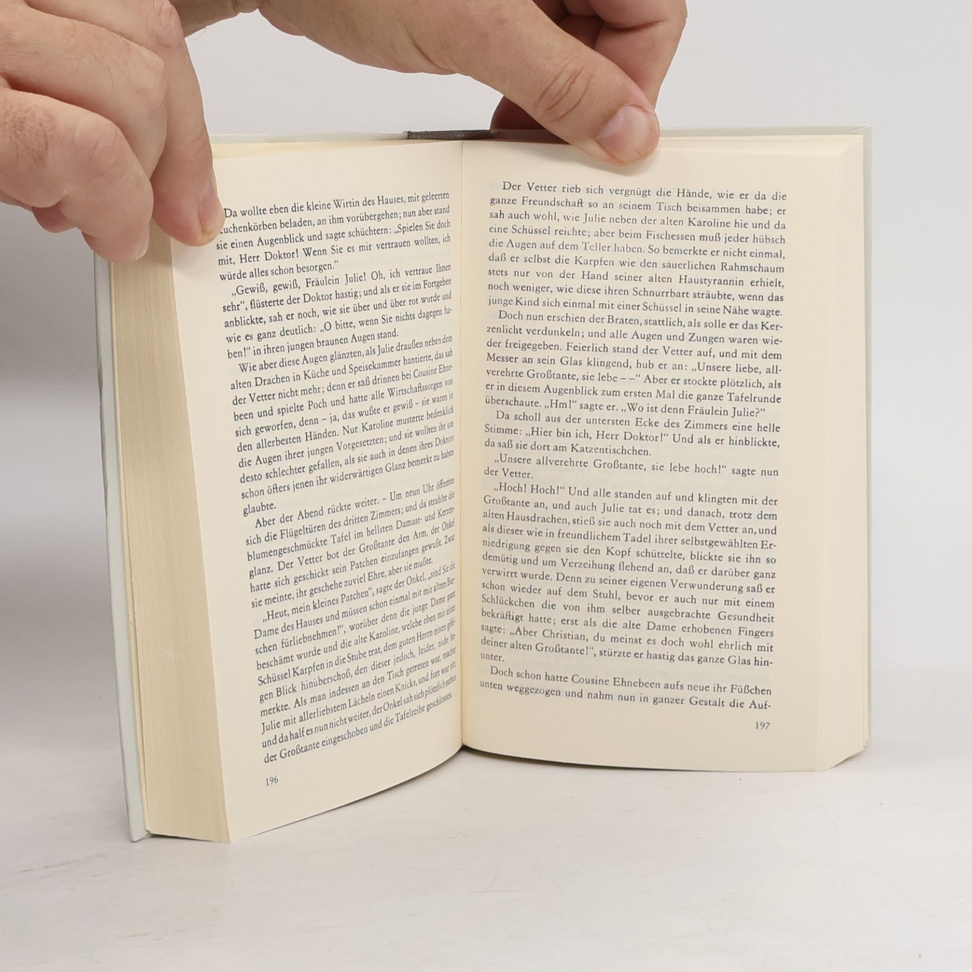 Theodor Storm Gesammelte Werke Novellen II
