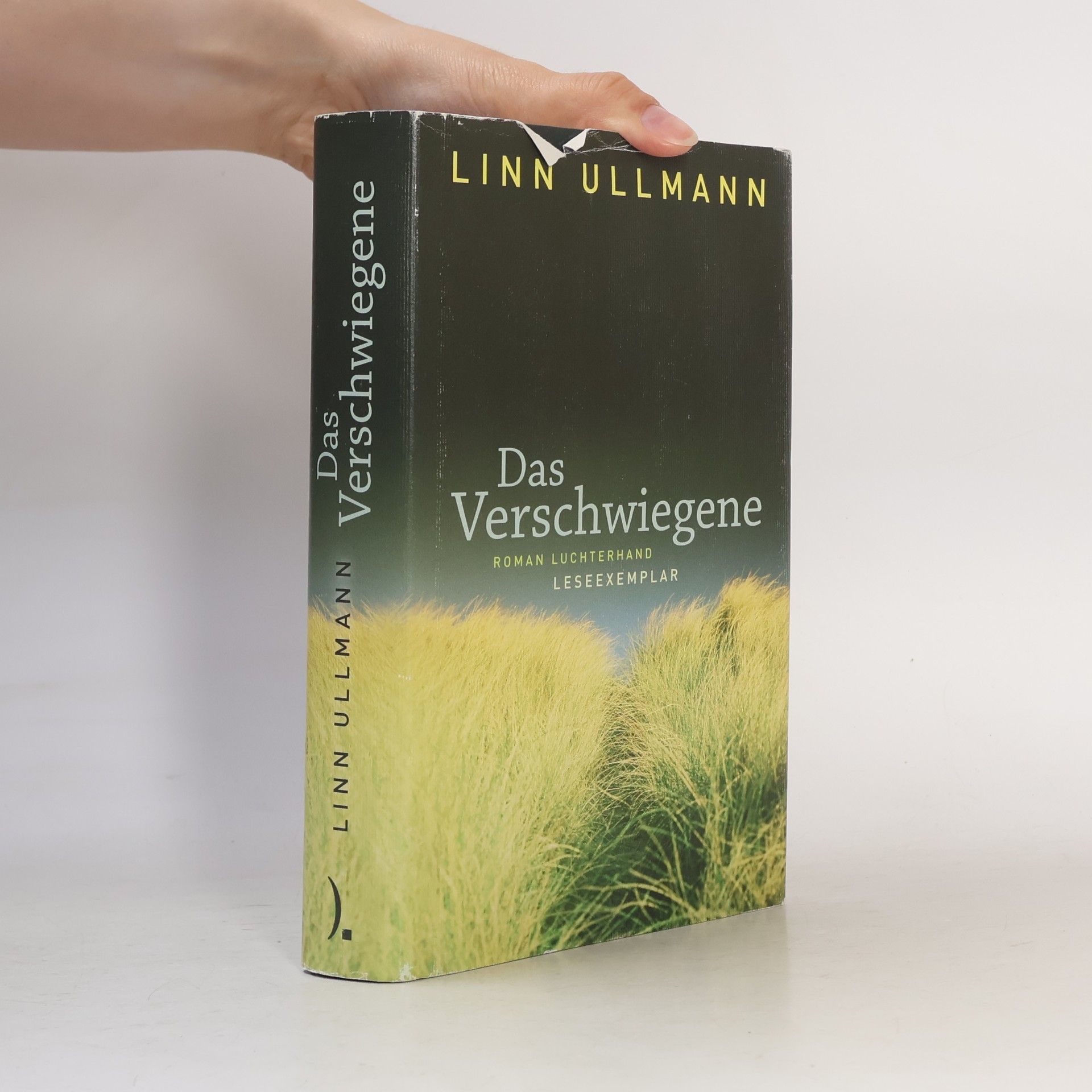 Linn Ullmann Das Verschwiegene