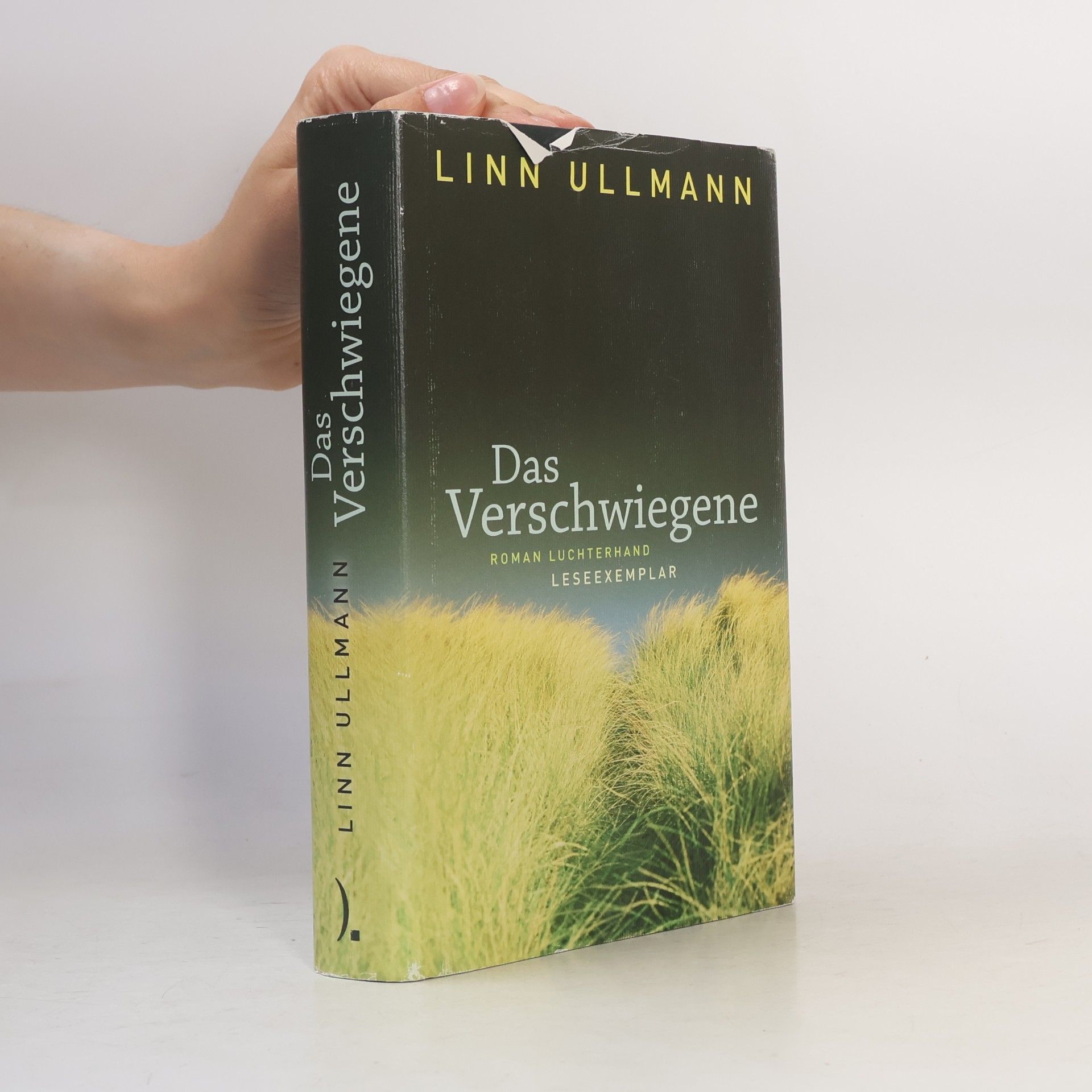 Linn Ullmann Das Verschwiegene