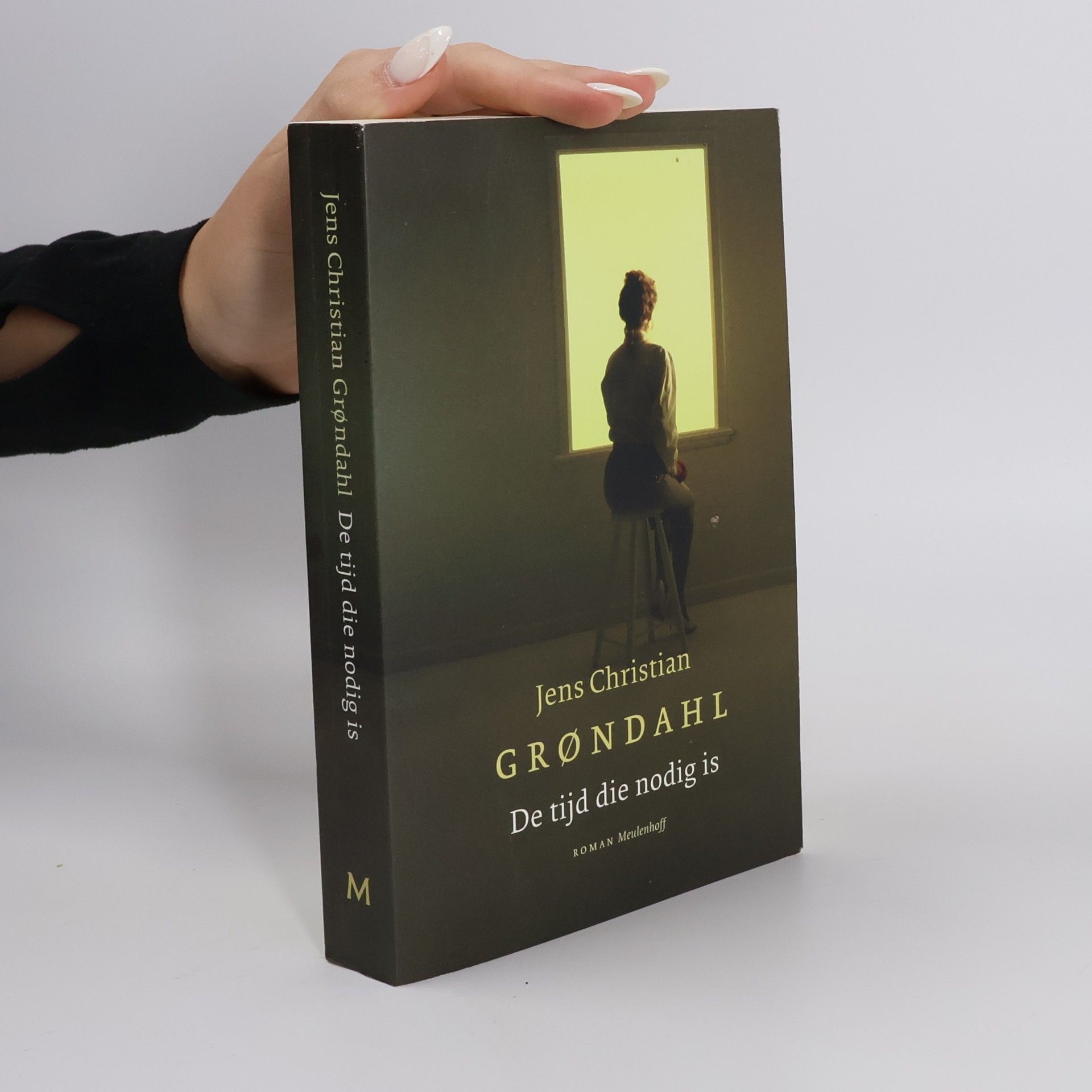 Jens Christian Grøndahl De tijd die nodig is
