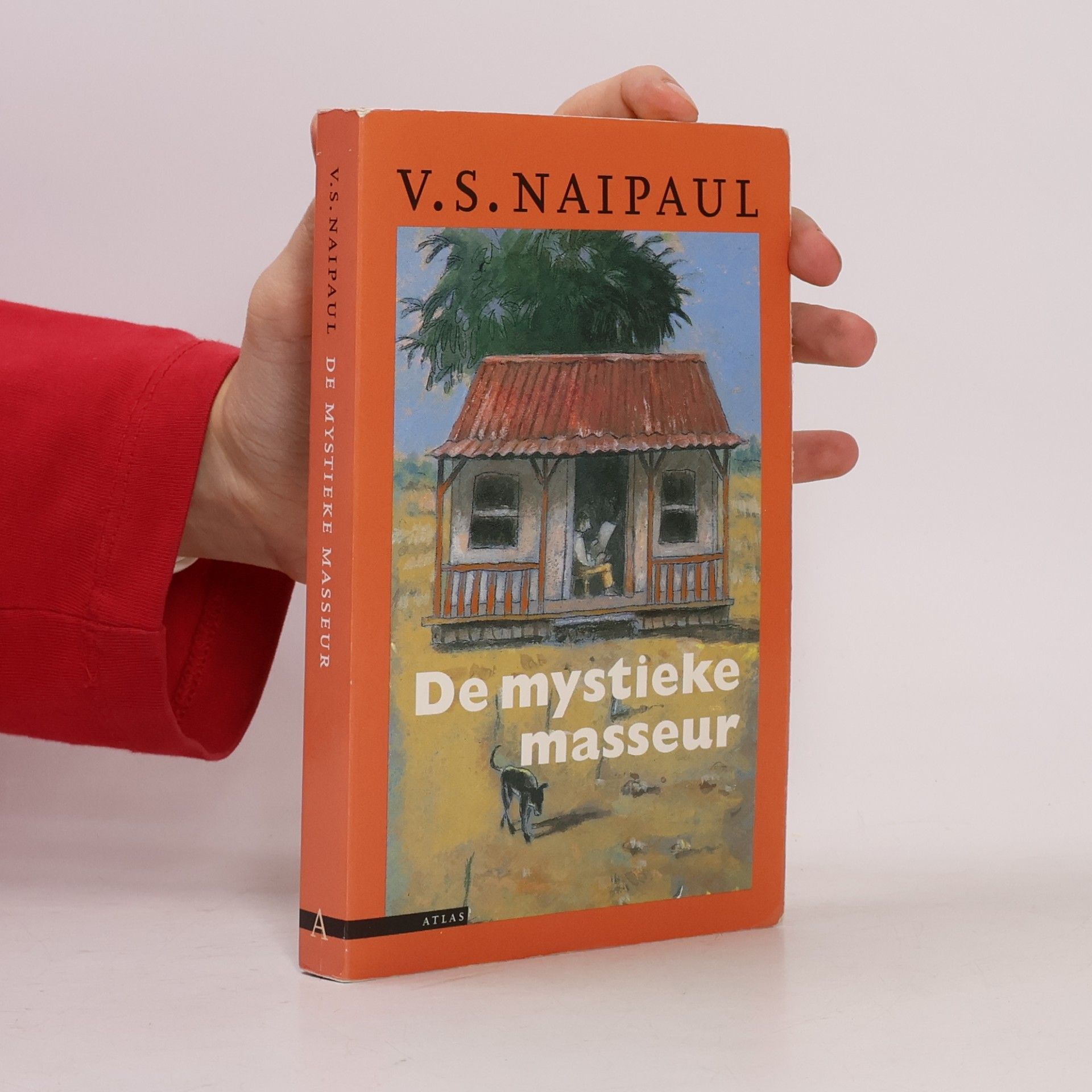 V. S. Naipaul De mystieke masseur