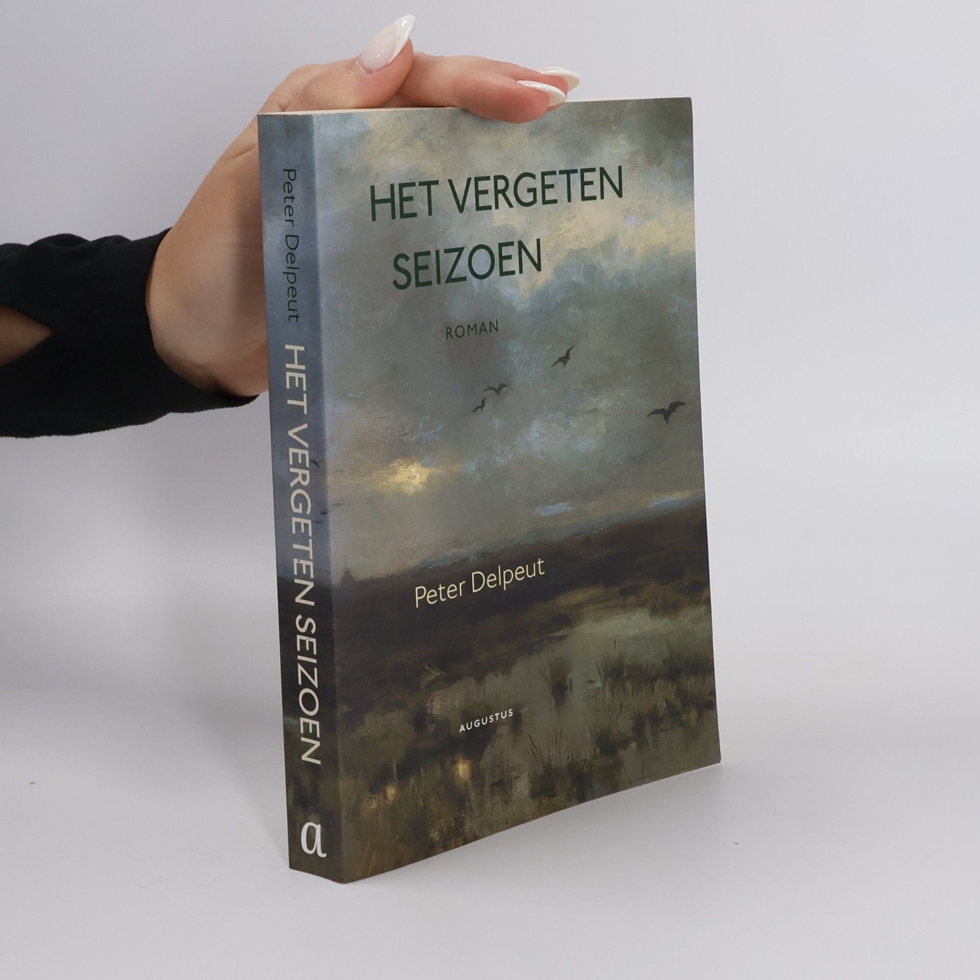 Het vergeten seizoen