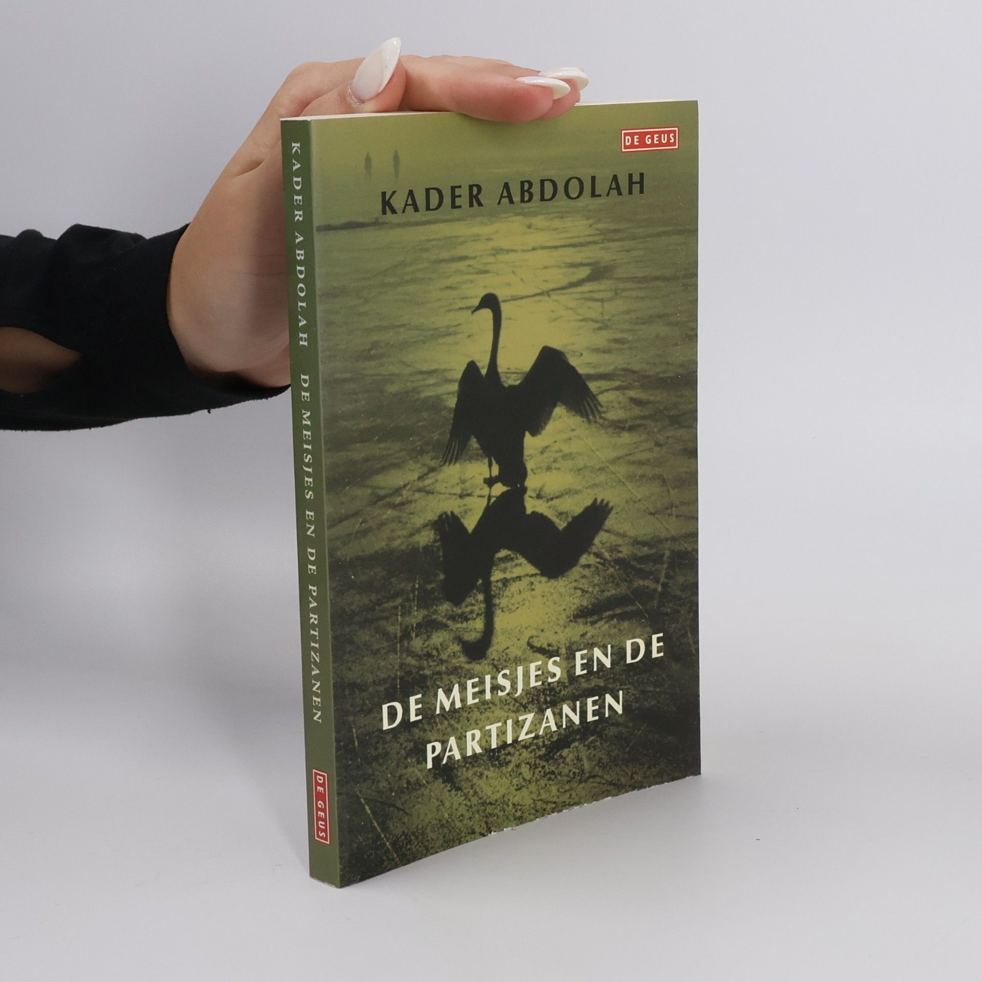 Hossein Sadjadi Ghaemaghami De meisjes en de partizanen