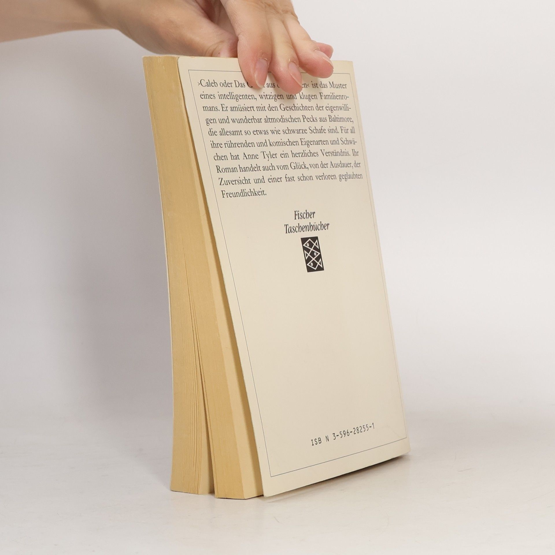 Anne Tyler Caleb oder Das Glück aus den Karten