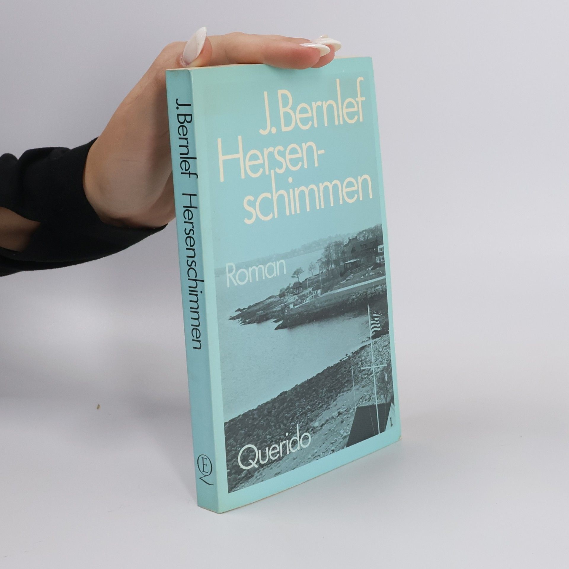 J. Bernlef Hersenschimmen