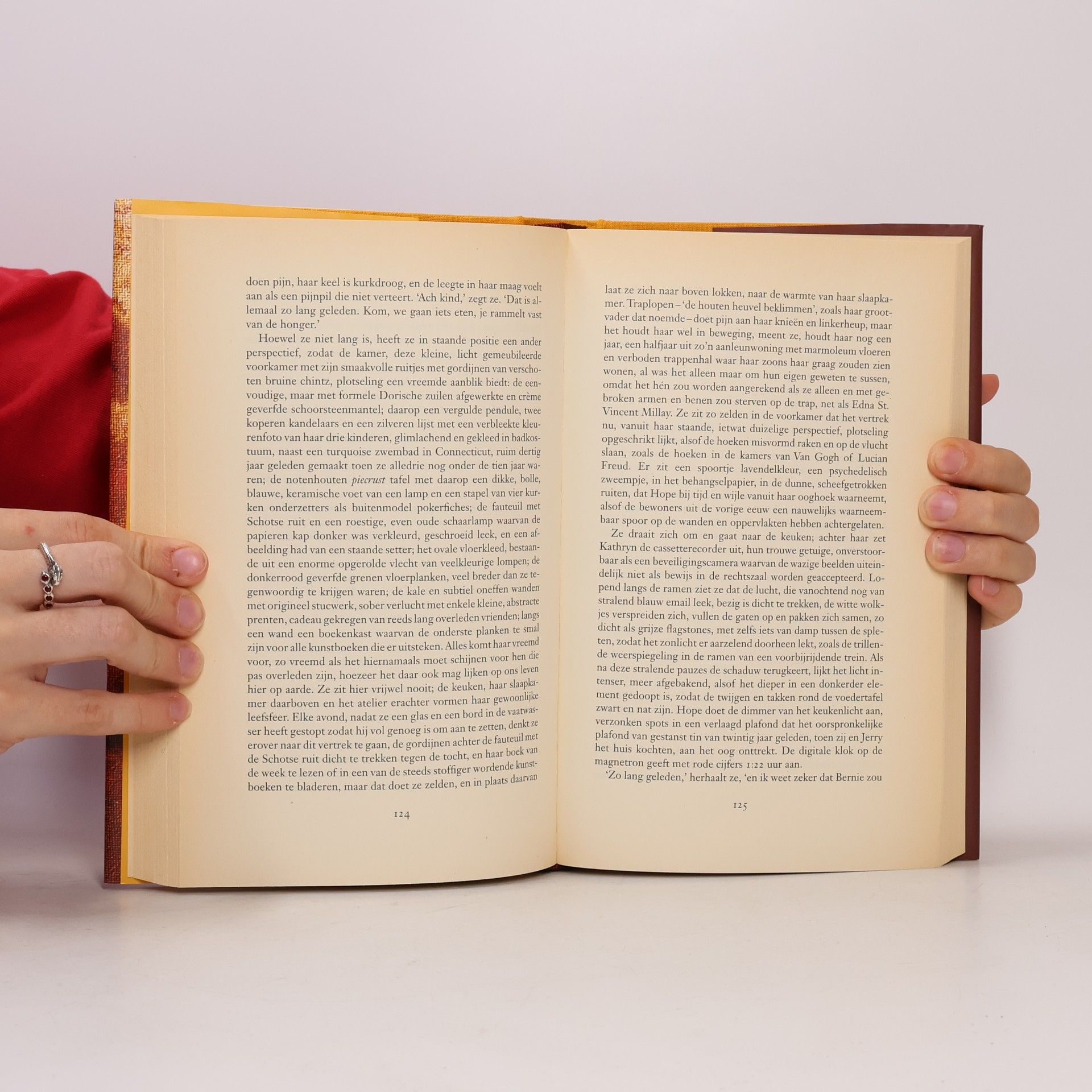 John Updike Zoekt mijn aangezicht