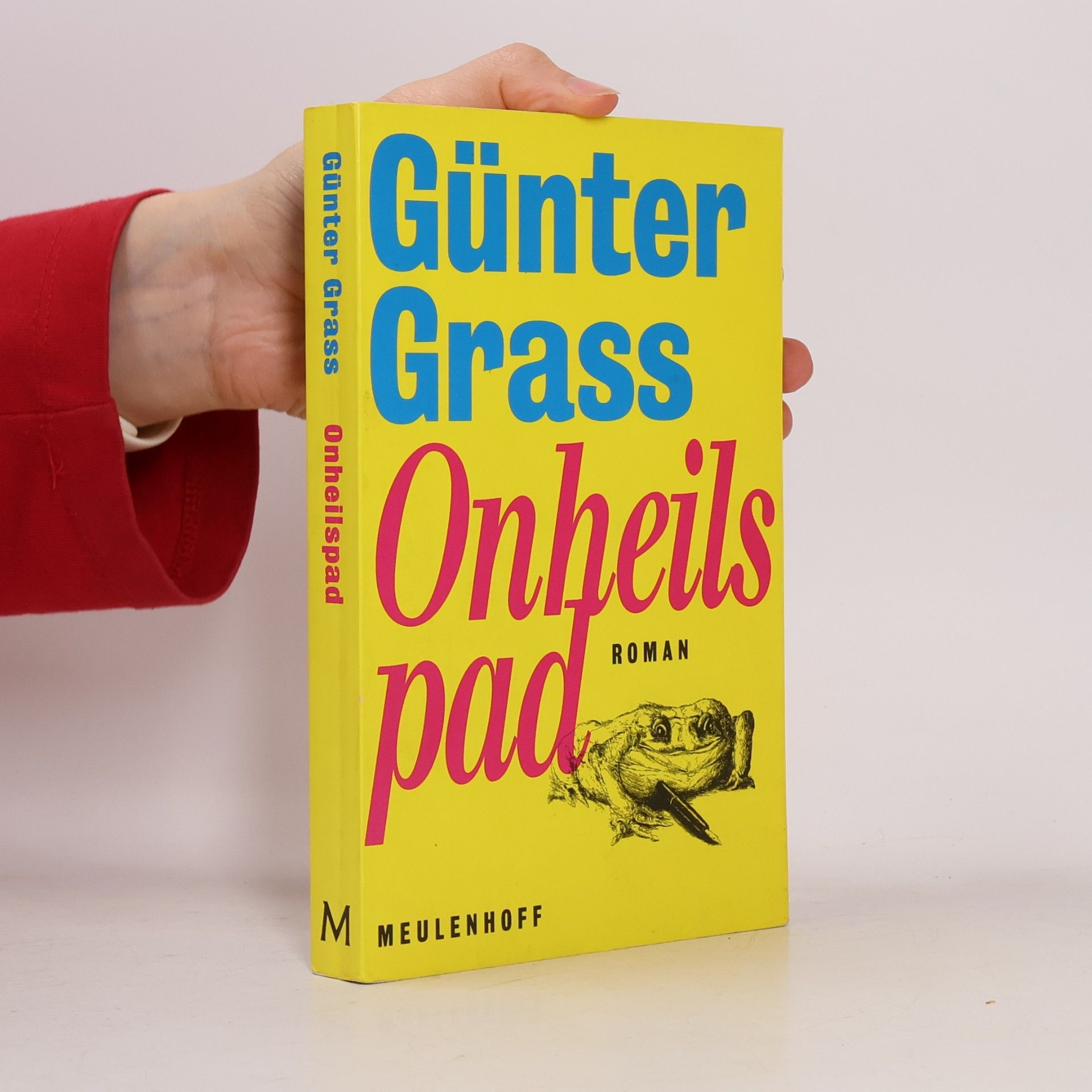 Günter Grass Onheilspad