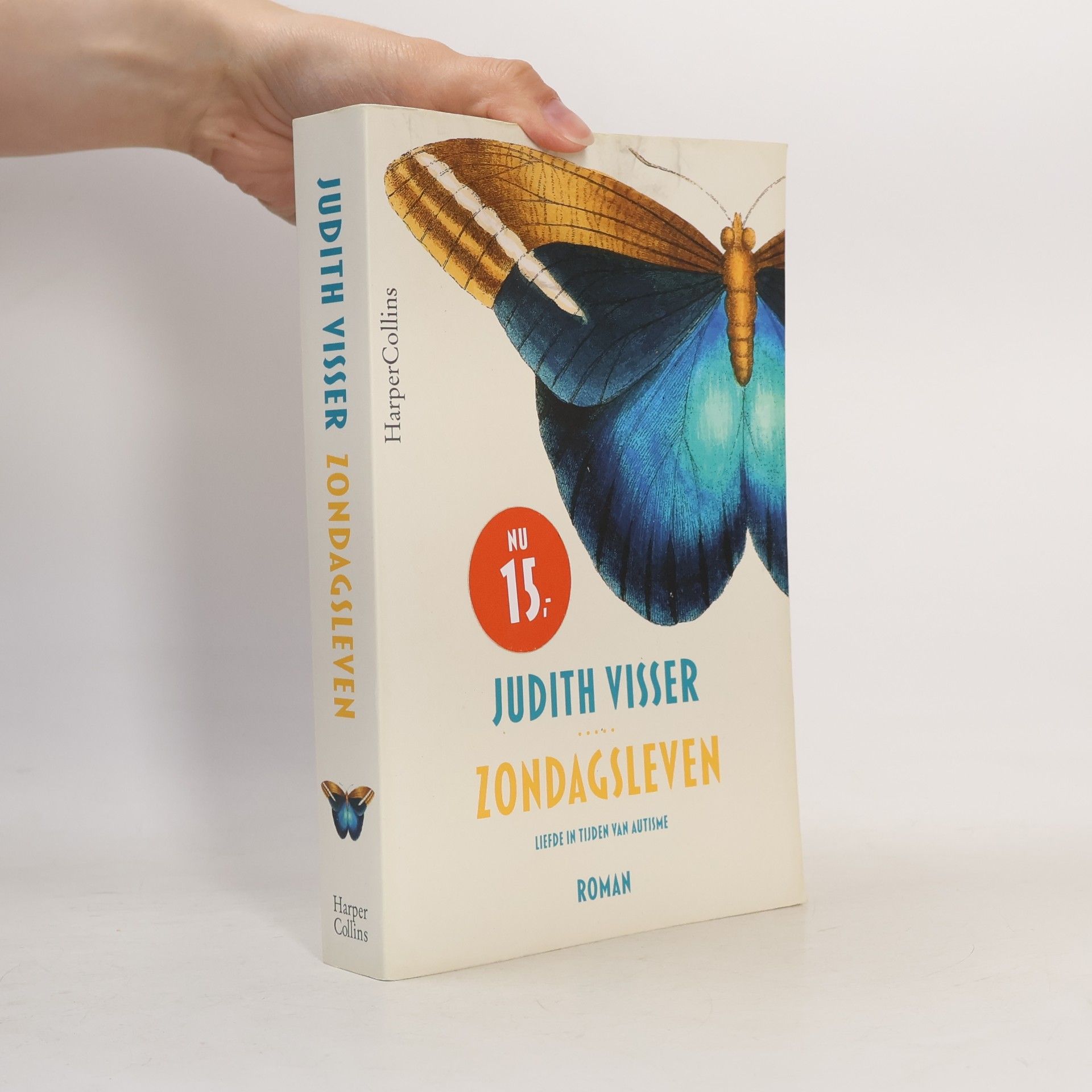 Judith Visser Zondagsleven