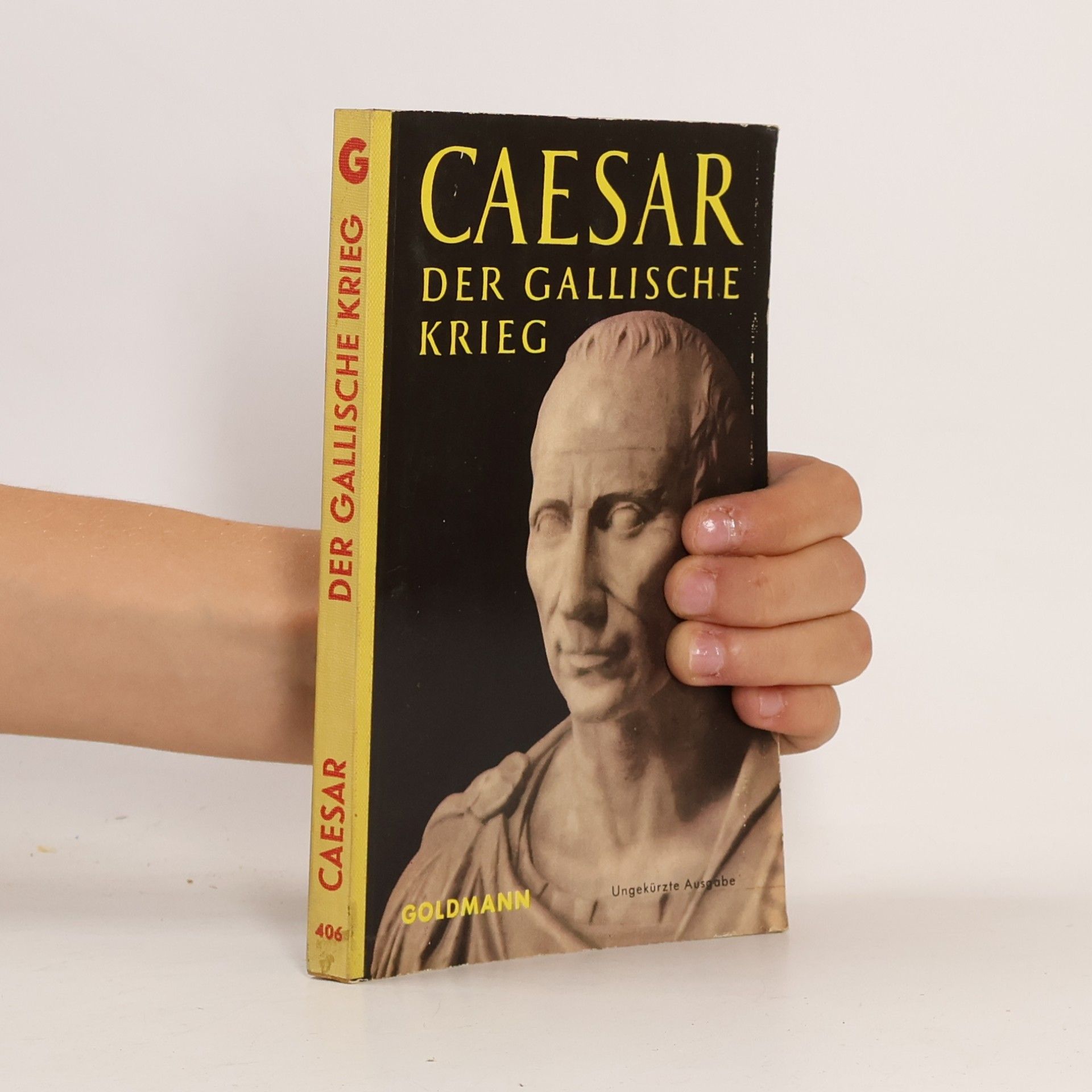 Gaius Julius Ceasar Der Gallische Krieg