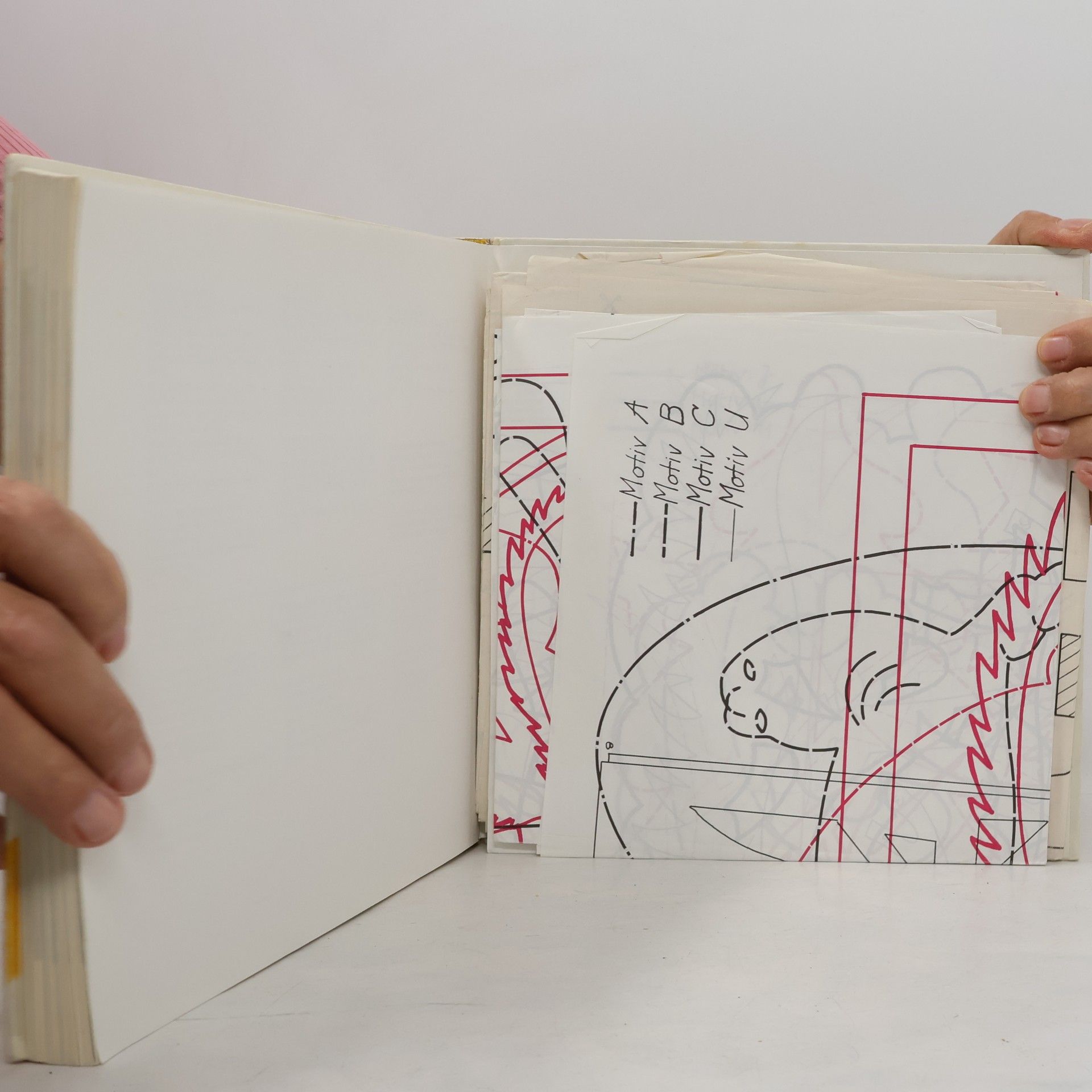 kolektiv Das Umwelt-Bastelbuch für Kinder