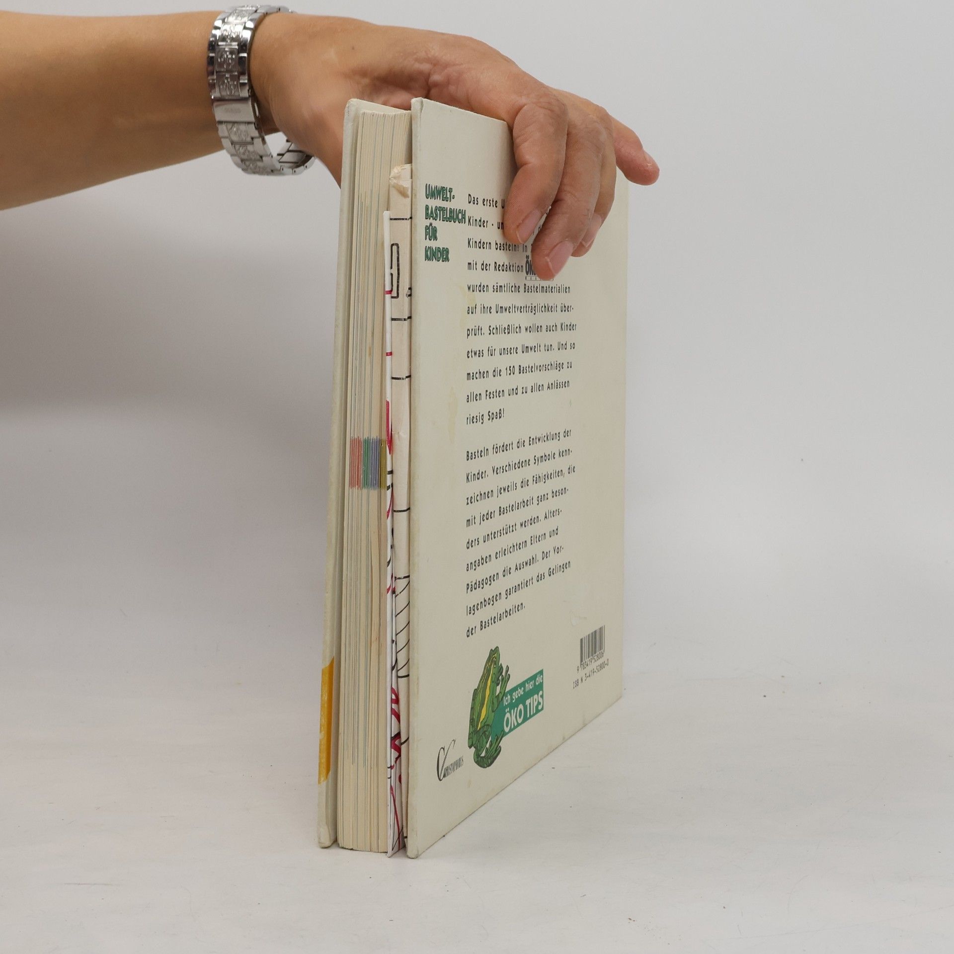 kolektiv Das Umwelt-Bastelbuch für Kinder
