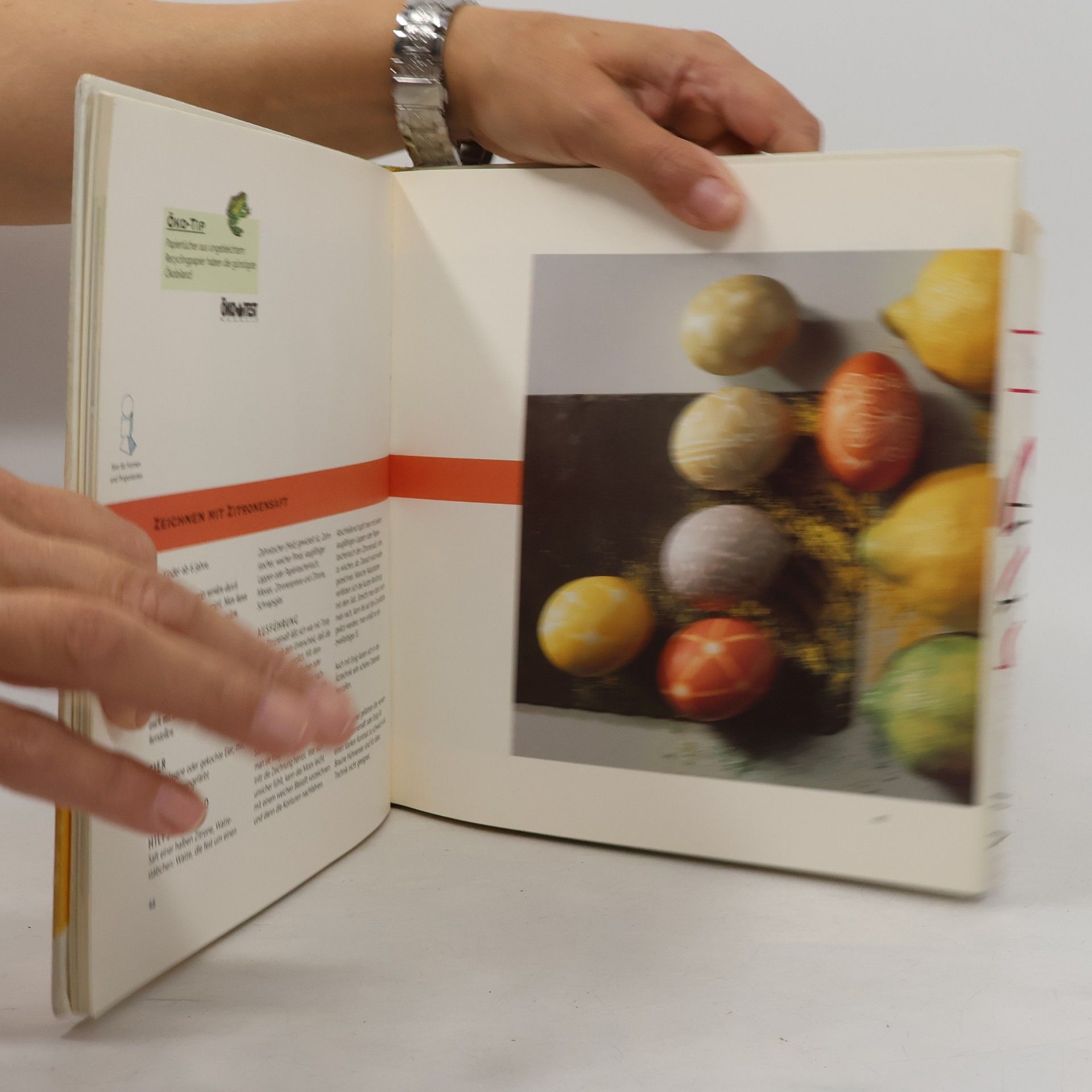kolektiv Das Umwelt-Bastelbuch für Kinder