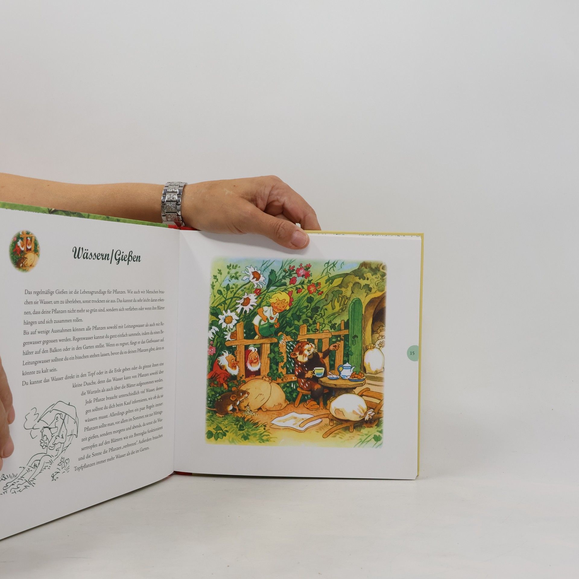 Fritz Baumgarten Das große Fritz-Baumgarten-Gartenbuch