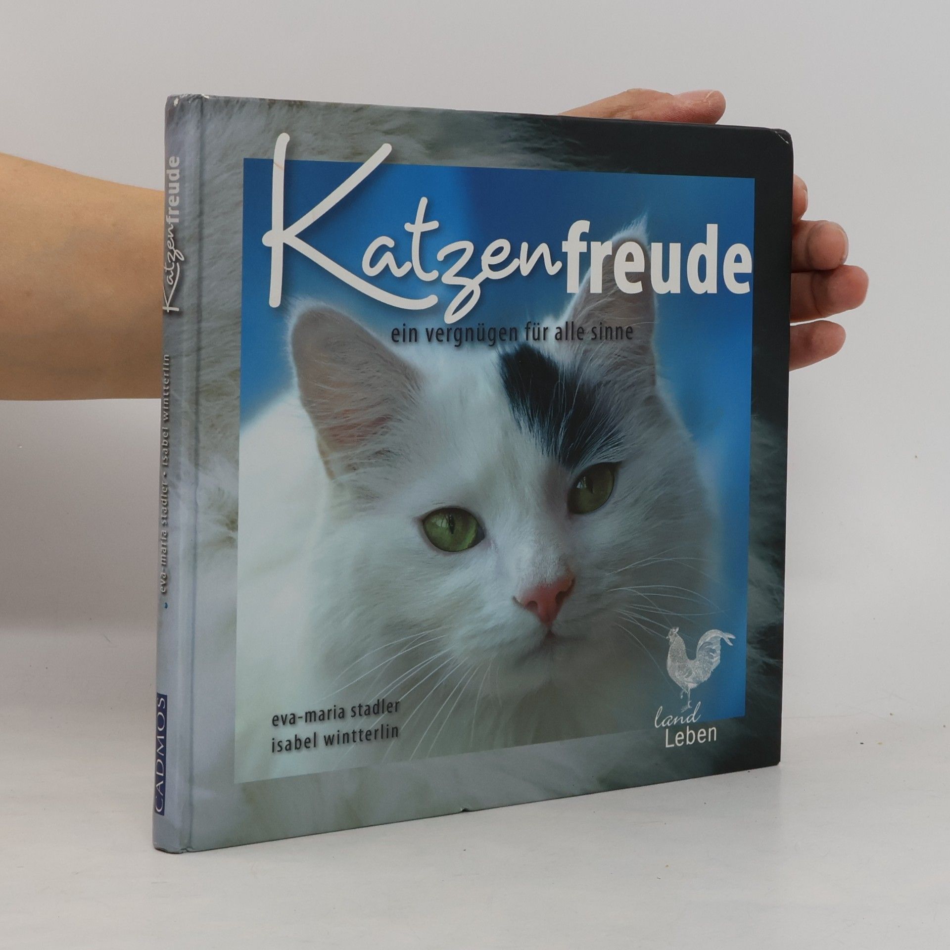 Isabel Wintterlin Katzenfreude. Ein Vergnügen für alle Sinne