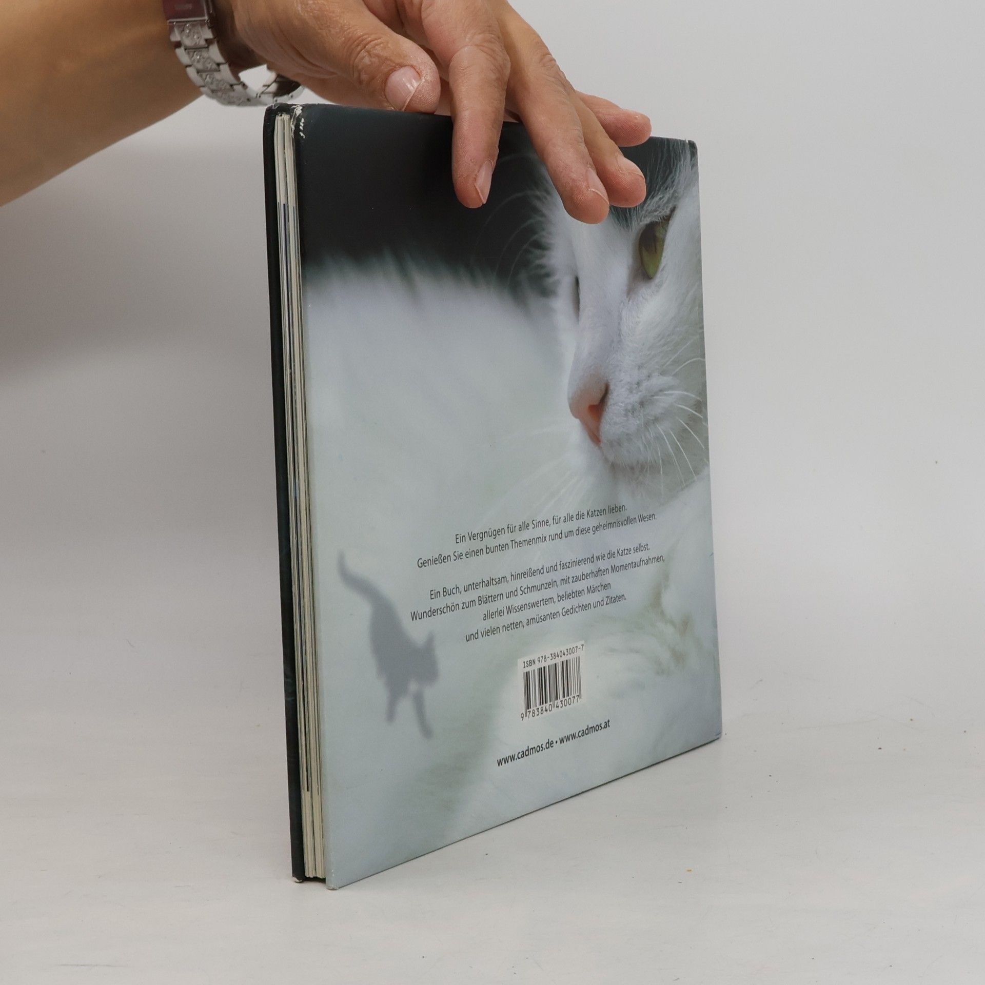 Isabel Wintterlin Katzenfreude. Ein Vergnügen für alle Sinne