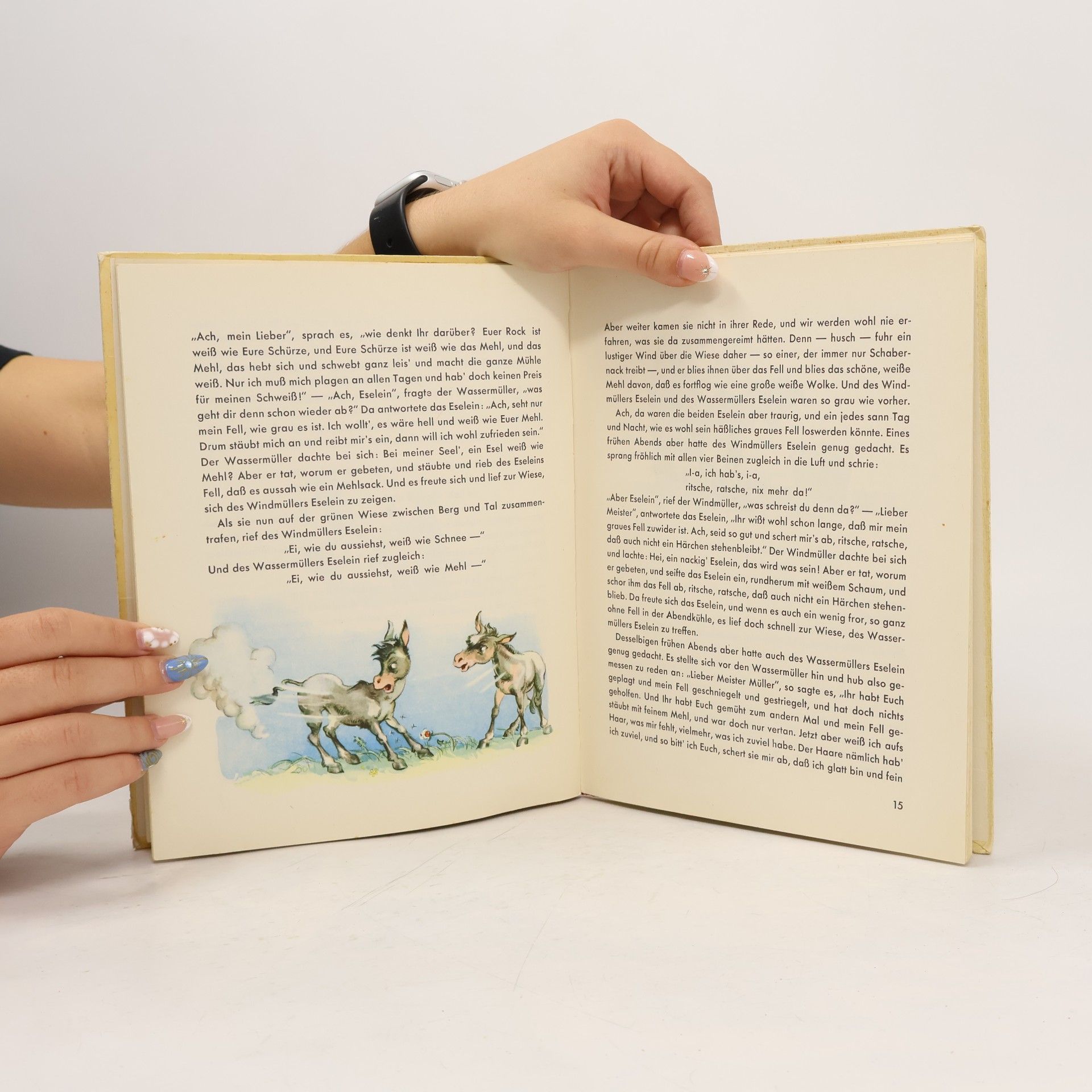 Ilse Schaller Das Eselein-Buch