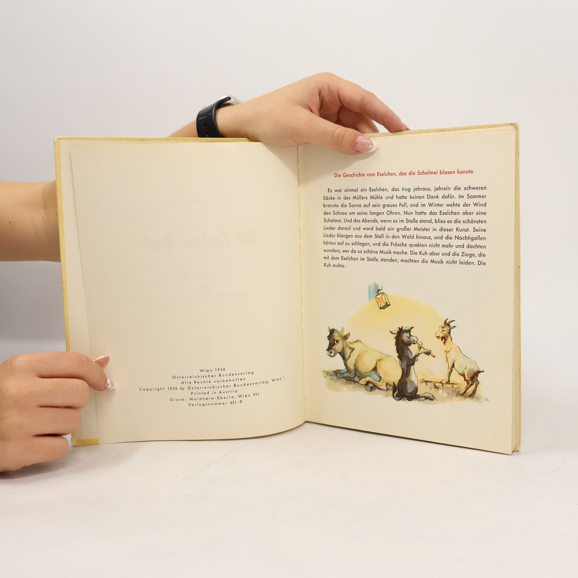 Ilse Schaller Das Eselein-Buch