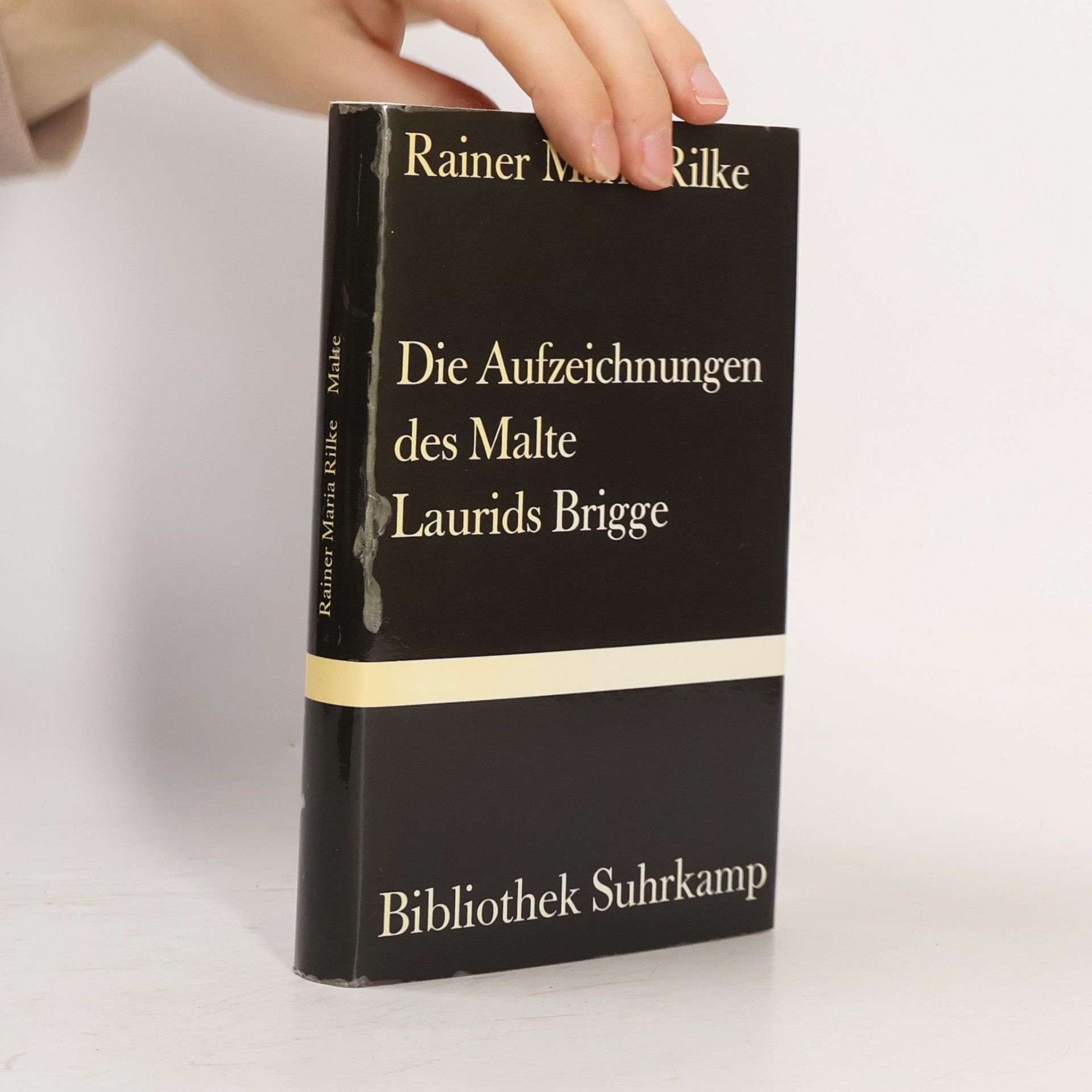 Rainer Maria Rilke Die Aufzeichnungen des Malte Laurids Brigge.