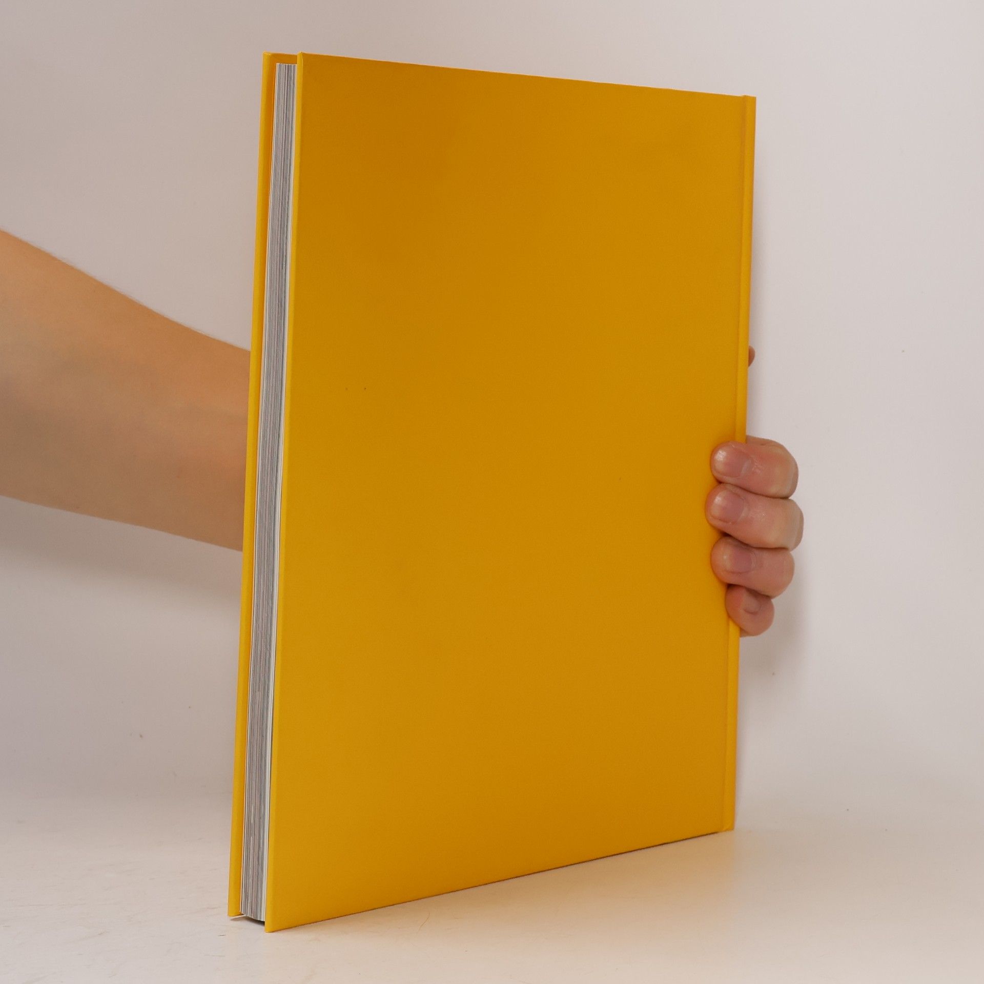 kolektiv Theater an der Wien Jahrbuch 2009