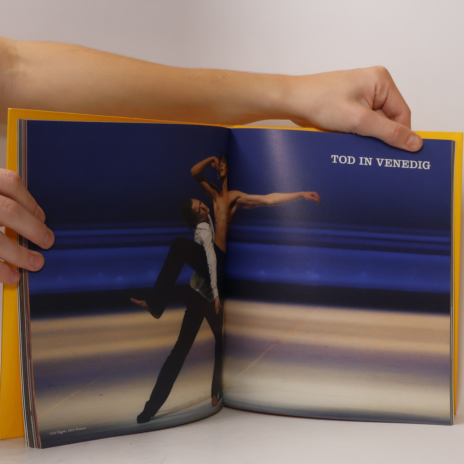 kolektiv Theater an der Wien Jahrbuch 2009