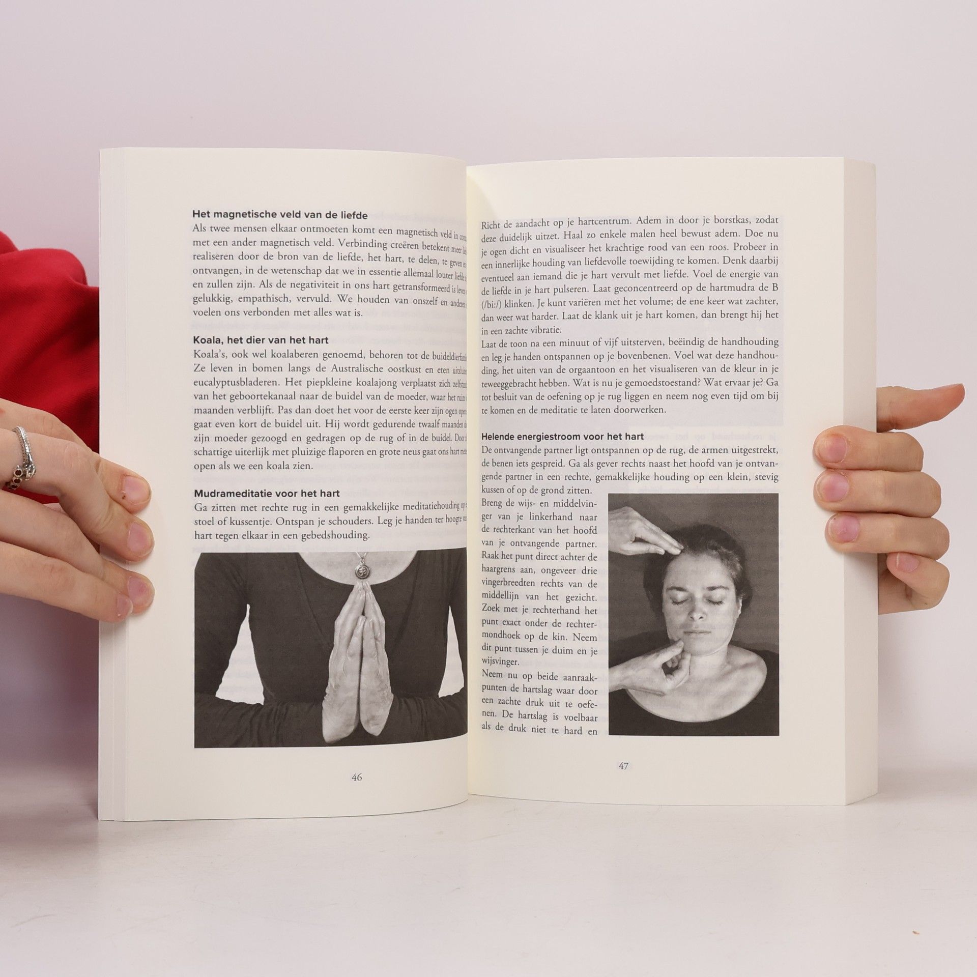 Elvira Schneider De orgaankalender voor Tibetan pulsing