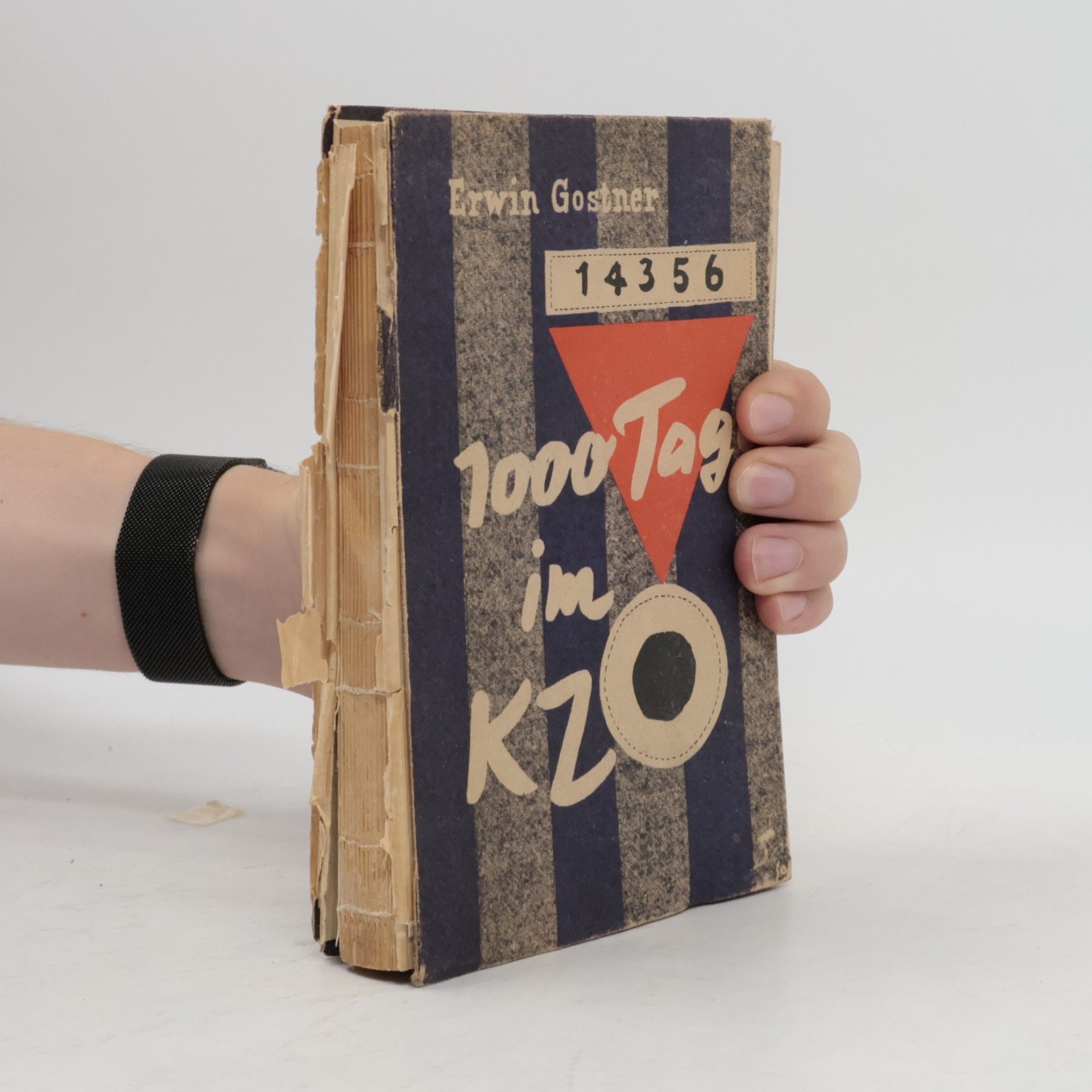 Erwin Gostner 1000 Tage im KZ