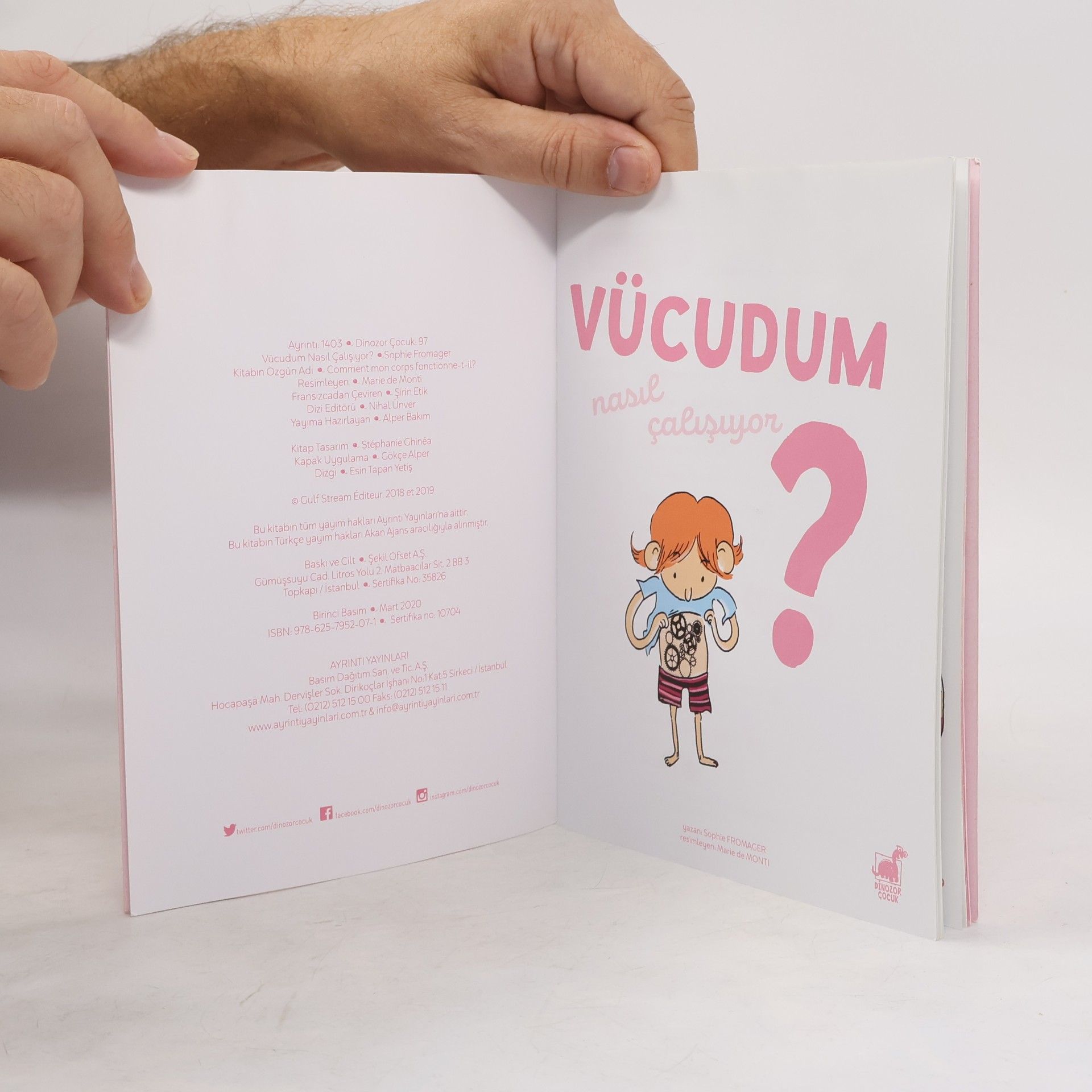 Sophie Fromager Vücudum Nasıl Çalışıyor?