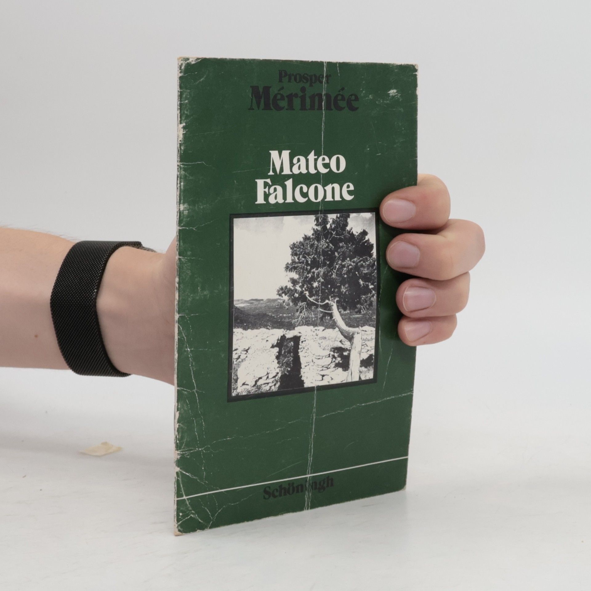Schöninghs Französische Textausgaben: Mateo Falcone