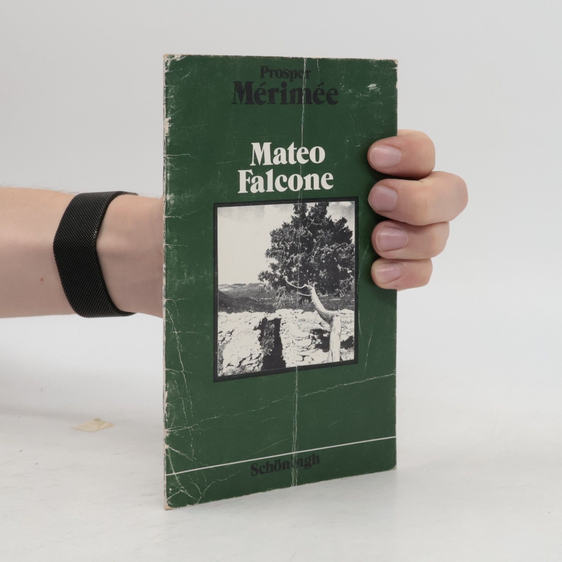 Prosper Mérimée Schöninghs Französische Textausgaben: Mateo Falcone