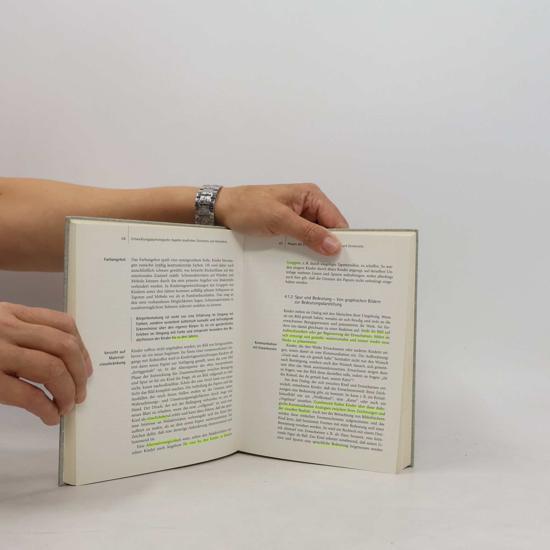 Daniela Braun Handbuch Kunst und Gestalten