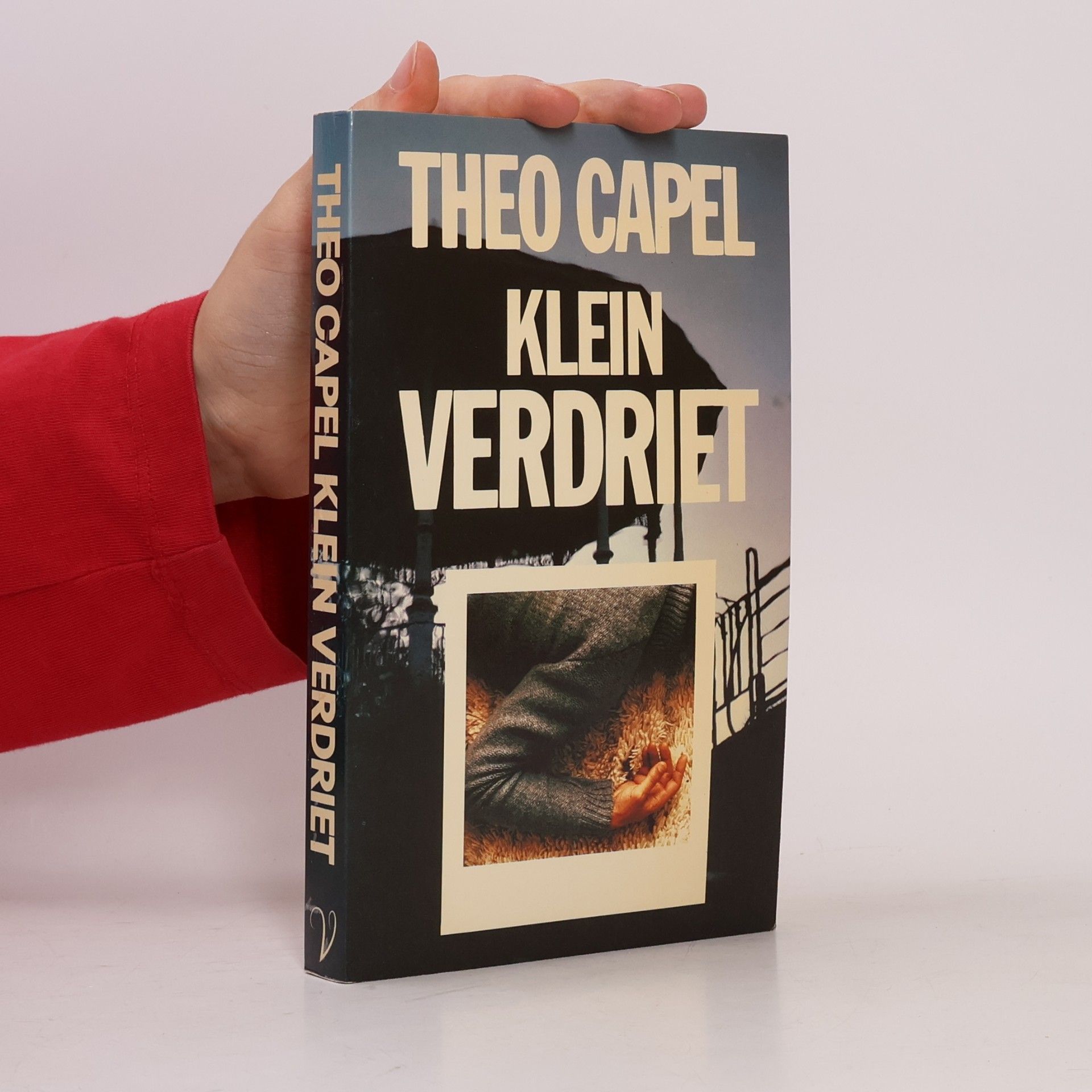 Theodorus Johannes Capel Klein verdriet