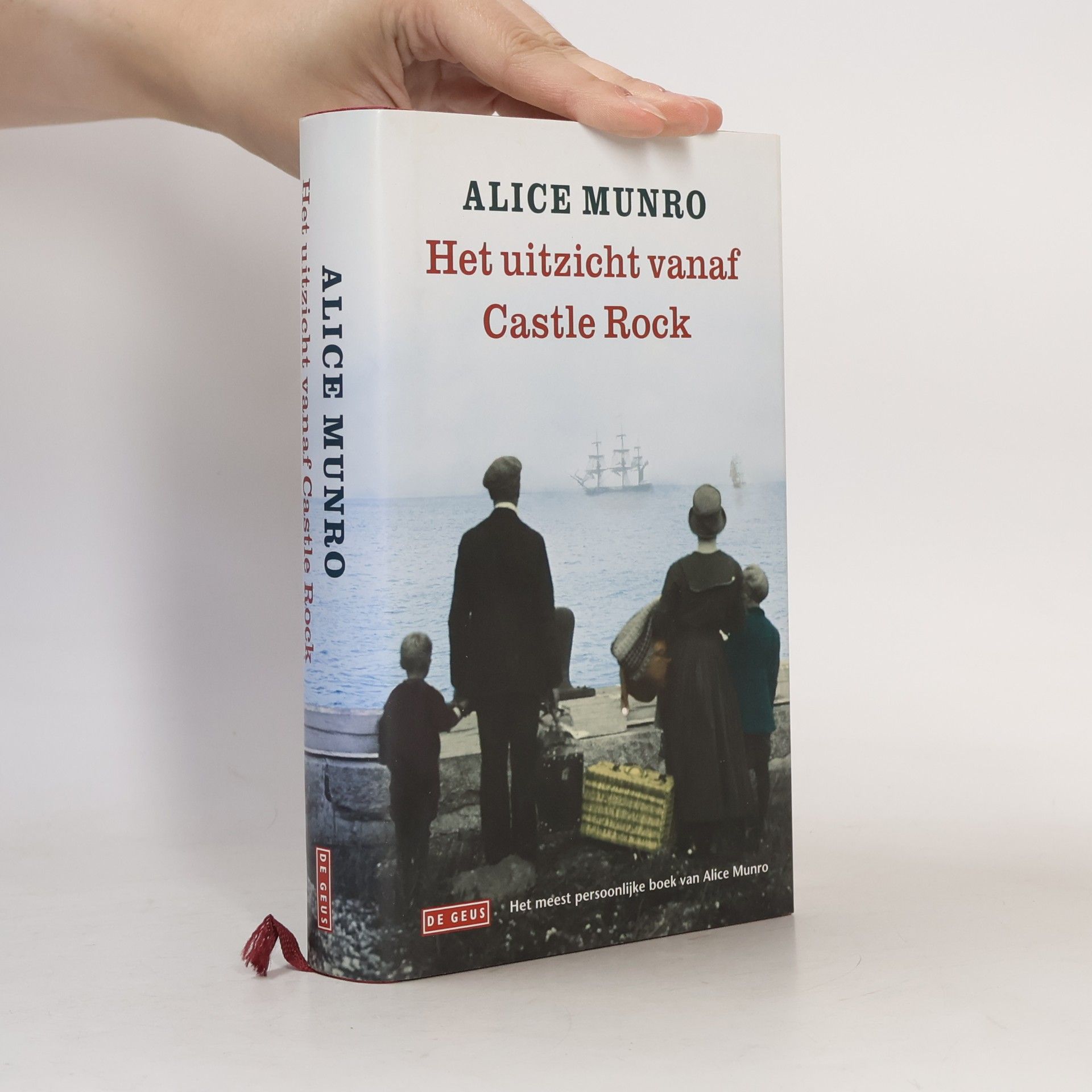 Alice Munro Het uitzicht vanaf Castle Rock
