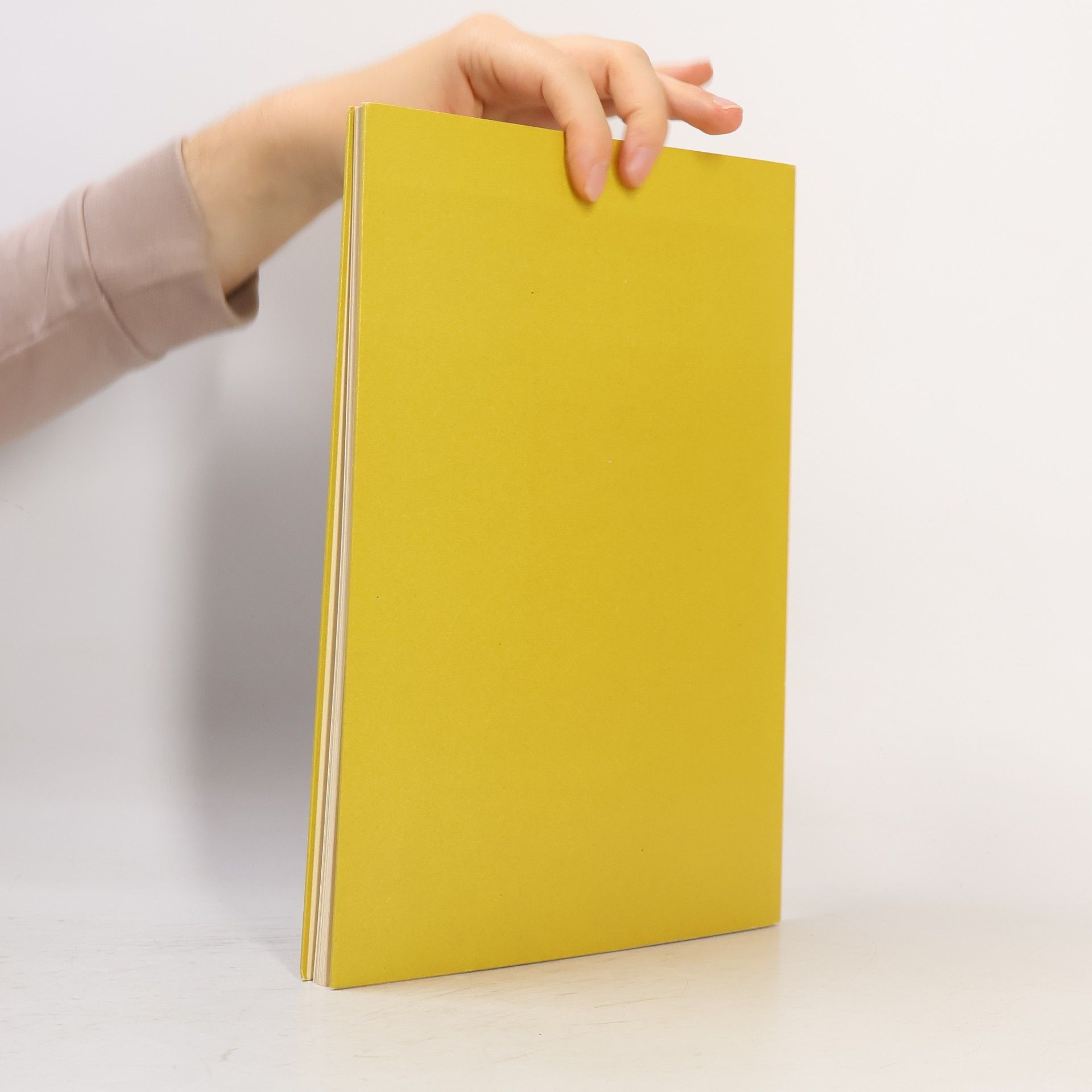 Georg Kurt Schauer Kleine Geschichte des deutschen Buchumschlages im 20. Jahrhundert