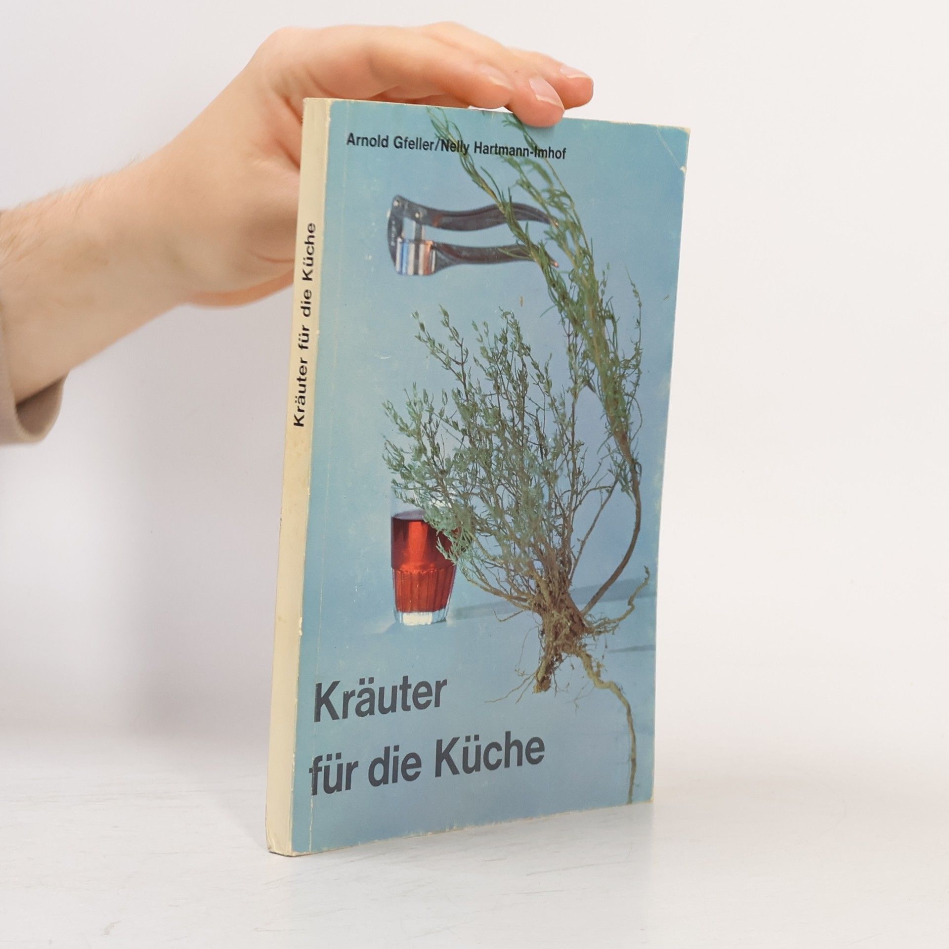 Kräuter für die Küche